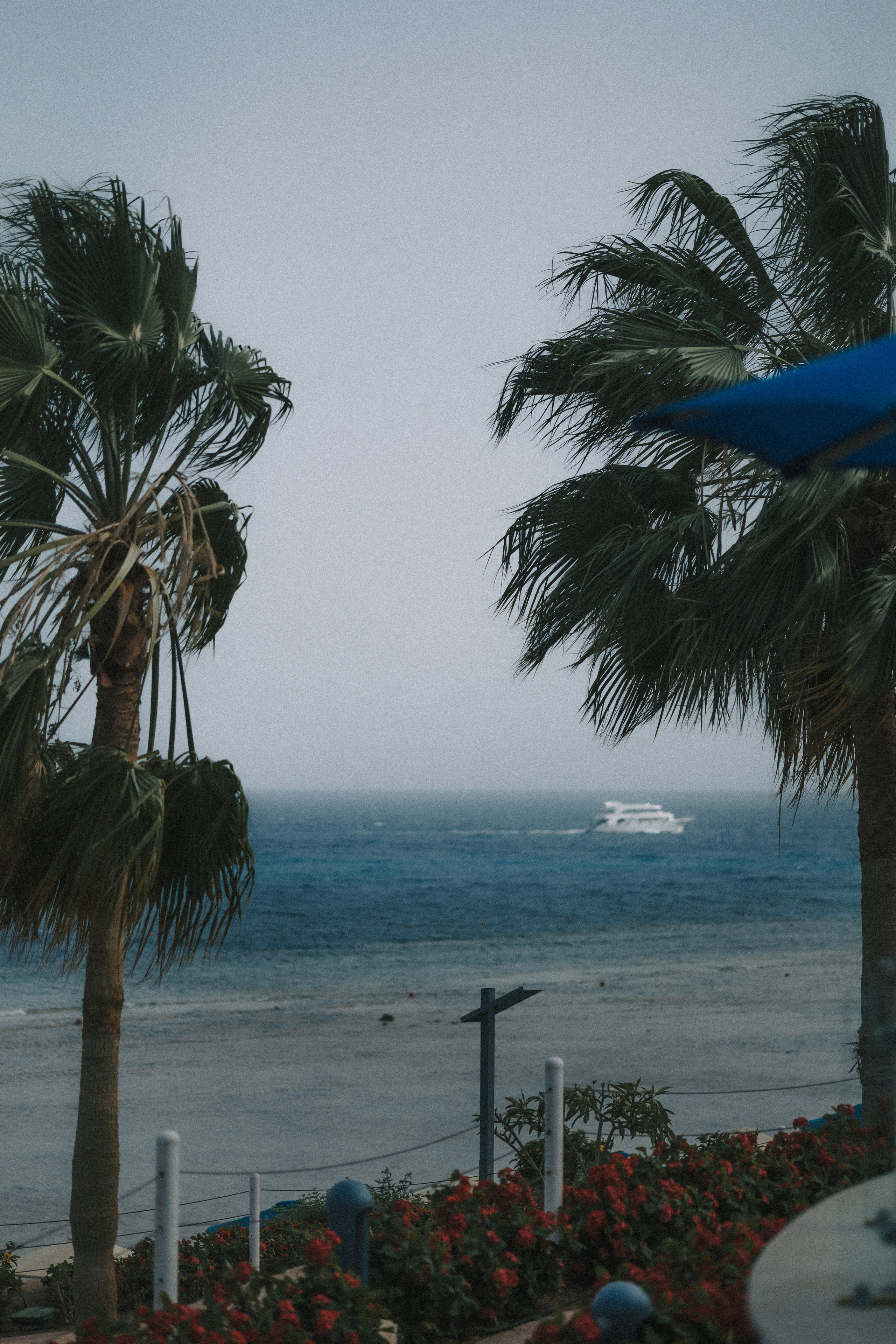 Пляж. Alesya Gee Photographer Uzbekistan