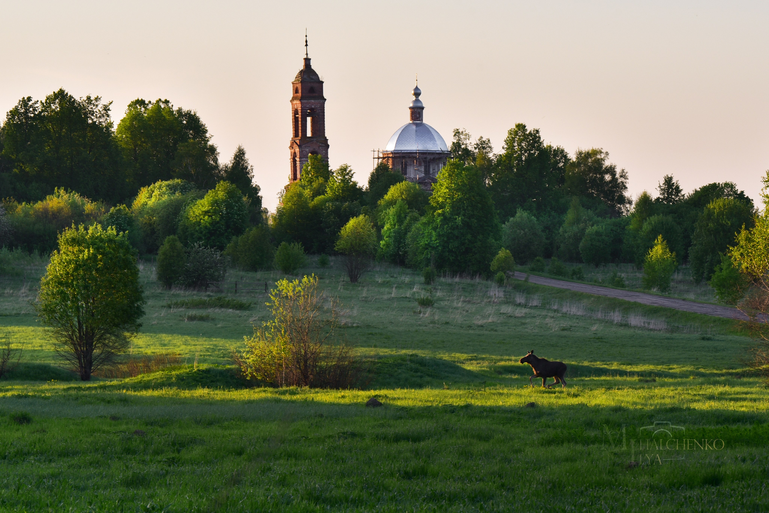 Пейзажи и архитектура. Портретная и репортажная съёмка