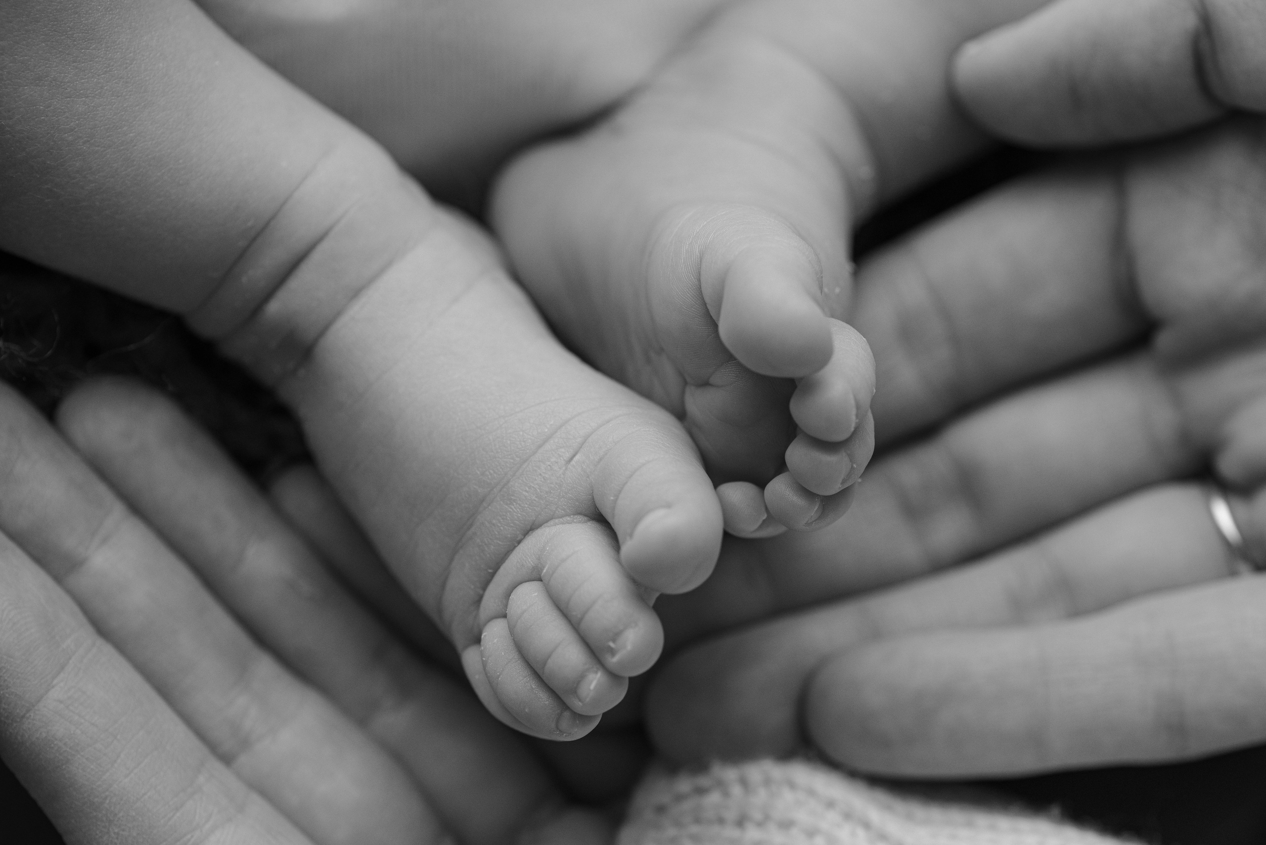 Макро. Фотограф Новорожденных во Владивостоке Ольга Галаницкая