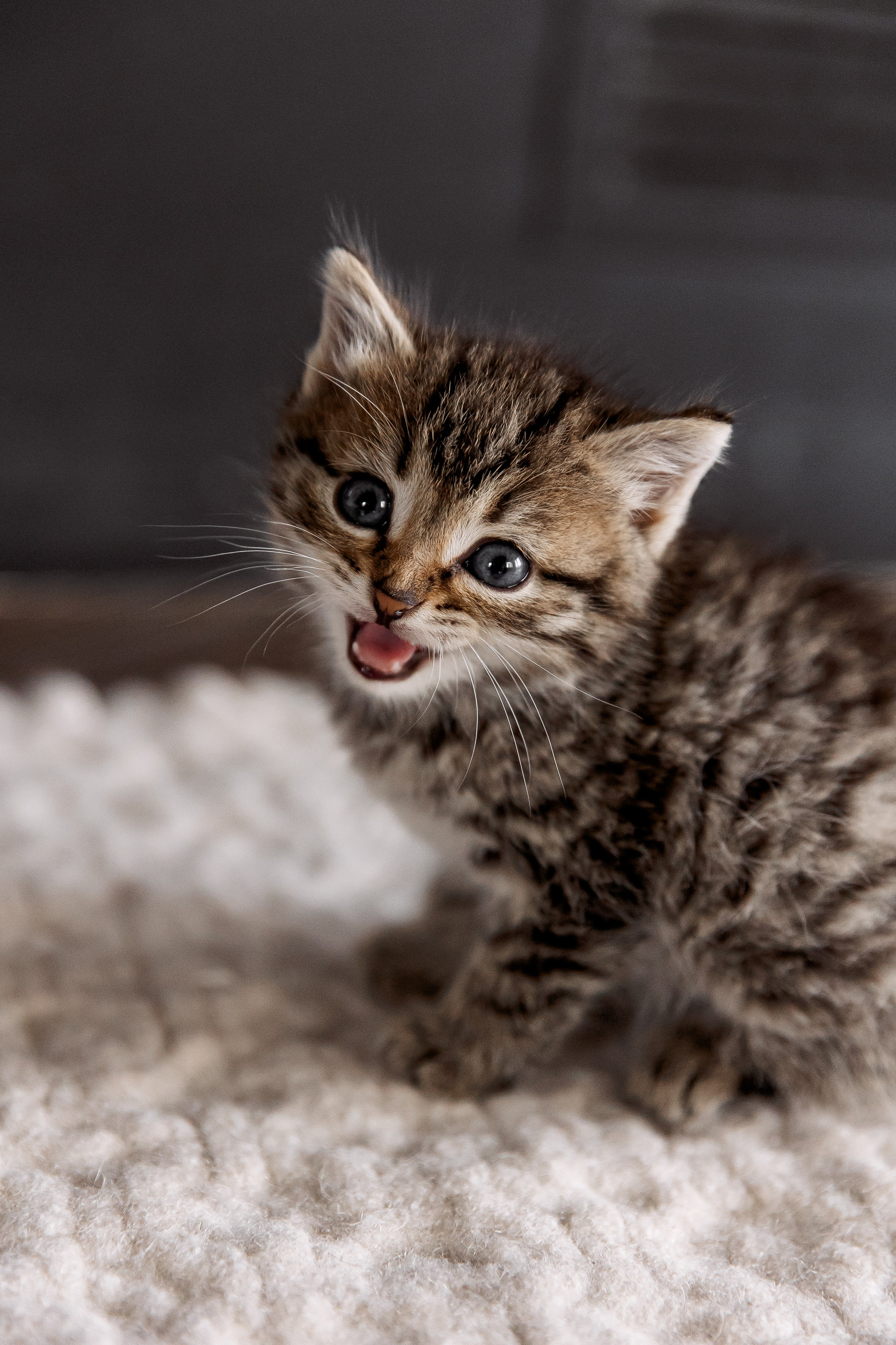 Вадислава и Нитита. Свадебный и семейный фотограф в Челябинске Юлия Ишимова