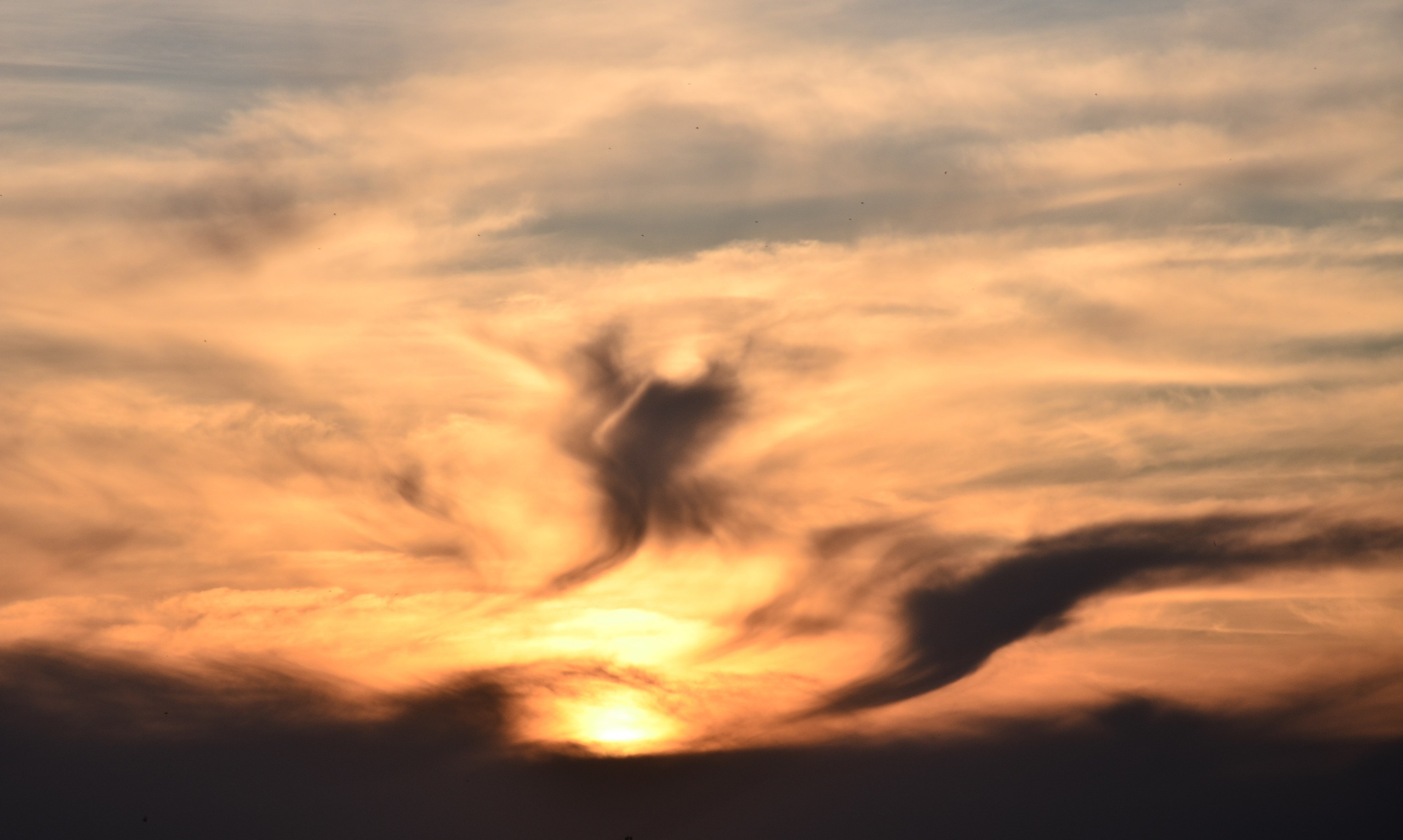 Дары природы. Фотограф viktor viktor