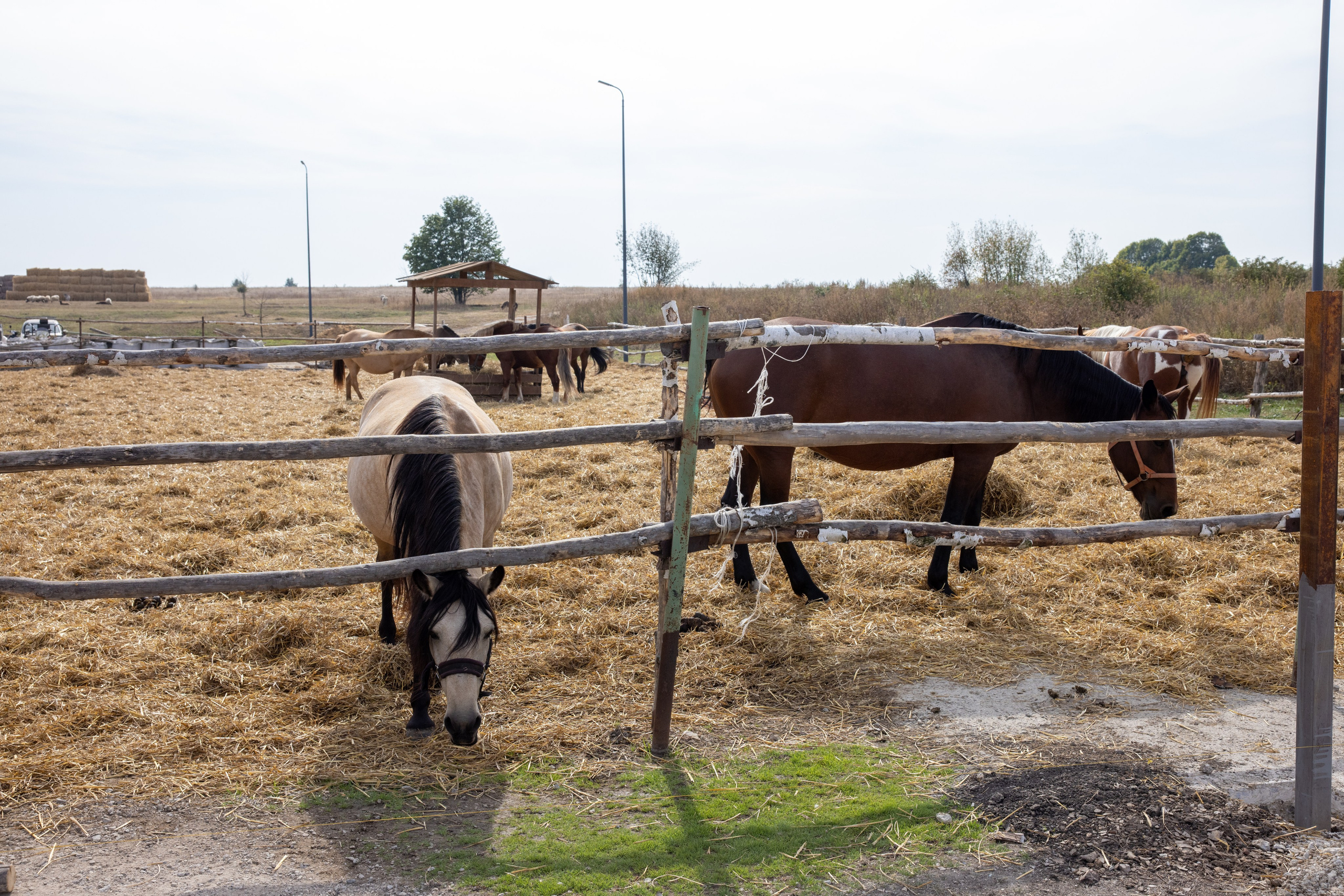Поездка на поле Кулеково. Фотограф в Туле Крупский АнДРей. Фотостудия «КАДР71» в Туле