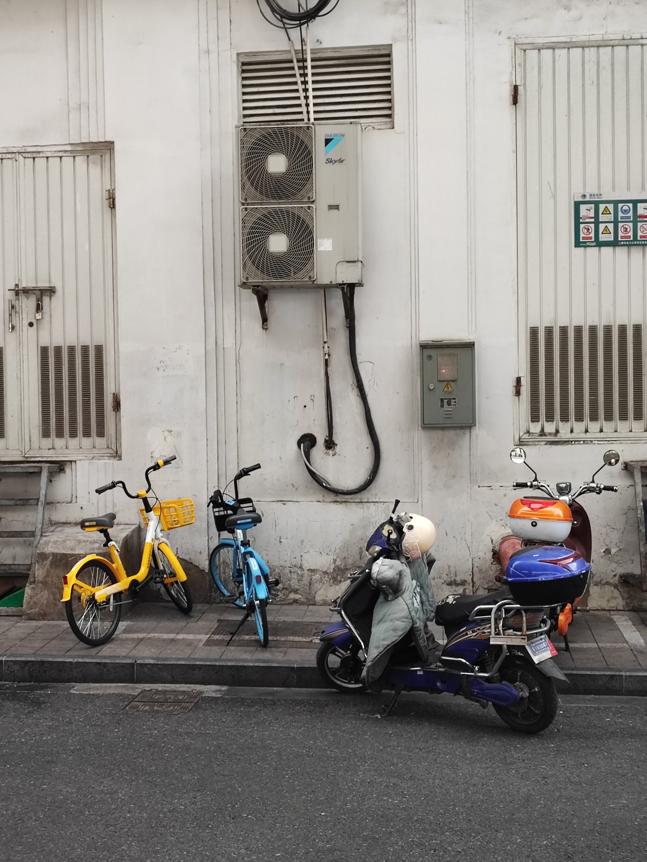 Намобилкус китайский. Репортажный фотограф Алексей Пирязев