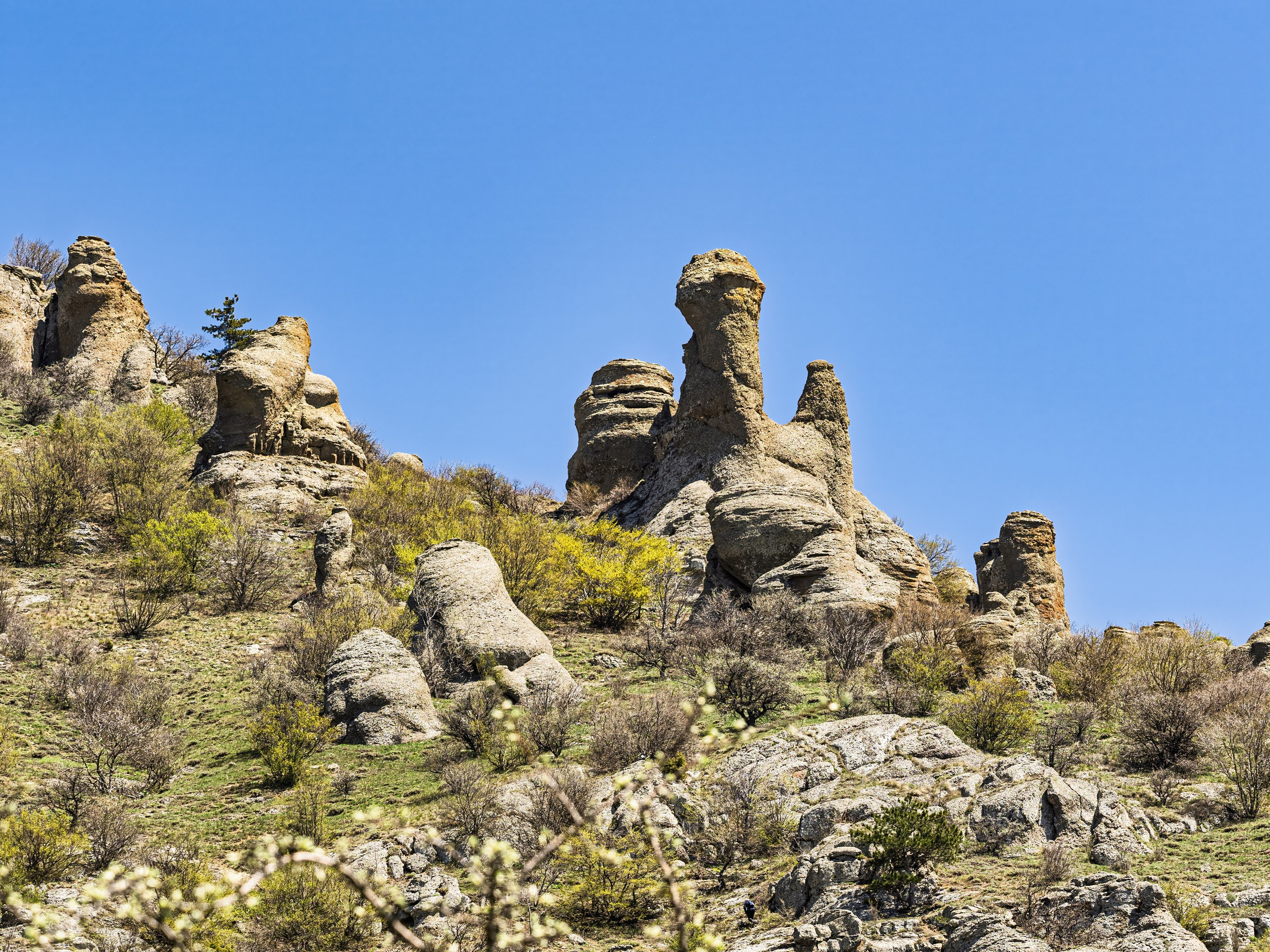Крым, Утес, 2021 год. Фотограф Никифоров-Гордеев Сергей. Москва и МО