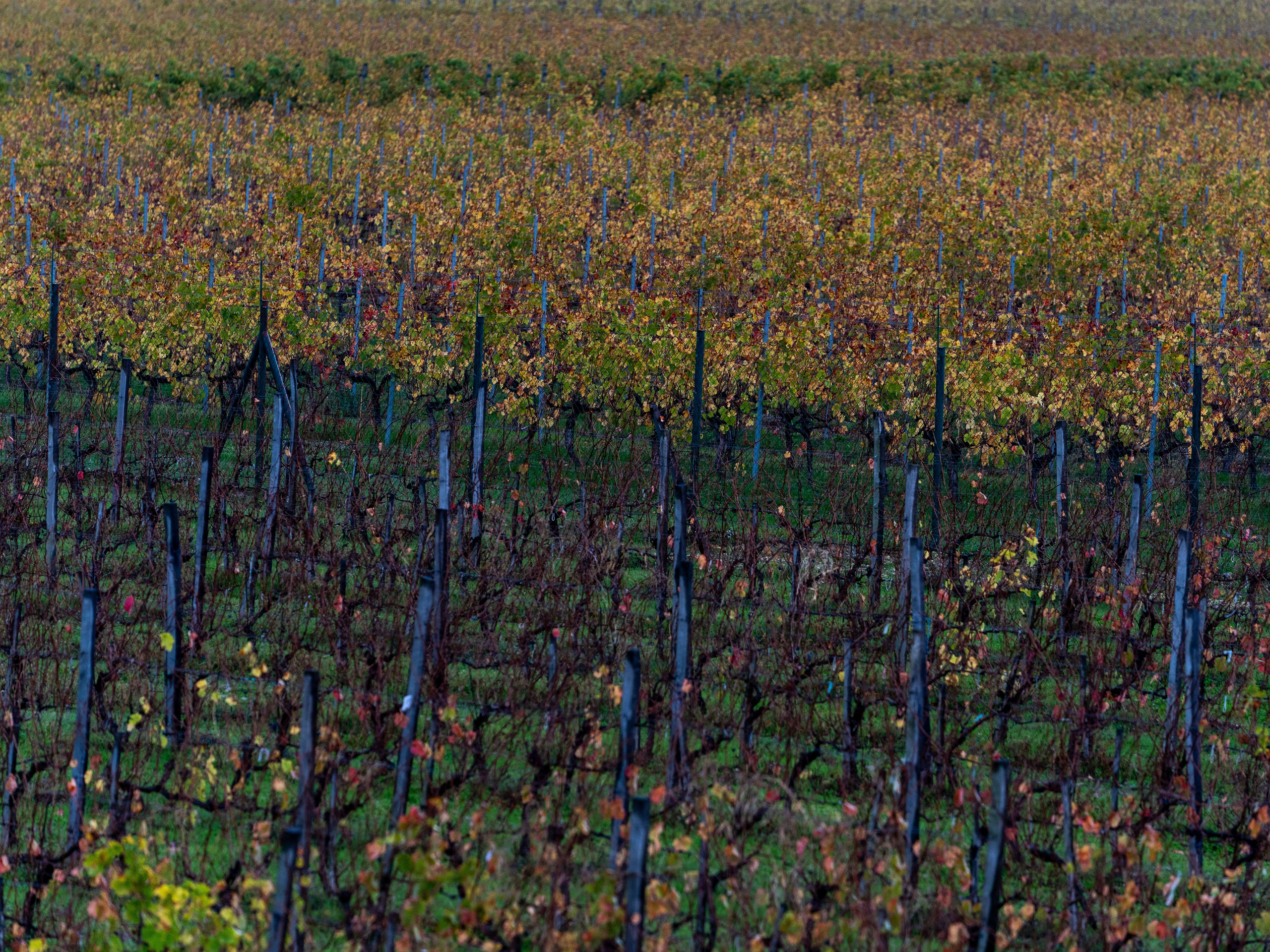 Путешествия и пейзаж. Репортажный фотограф в Красной Поляне и Сочи Павлюченко Екатерина