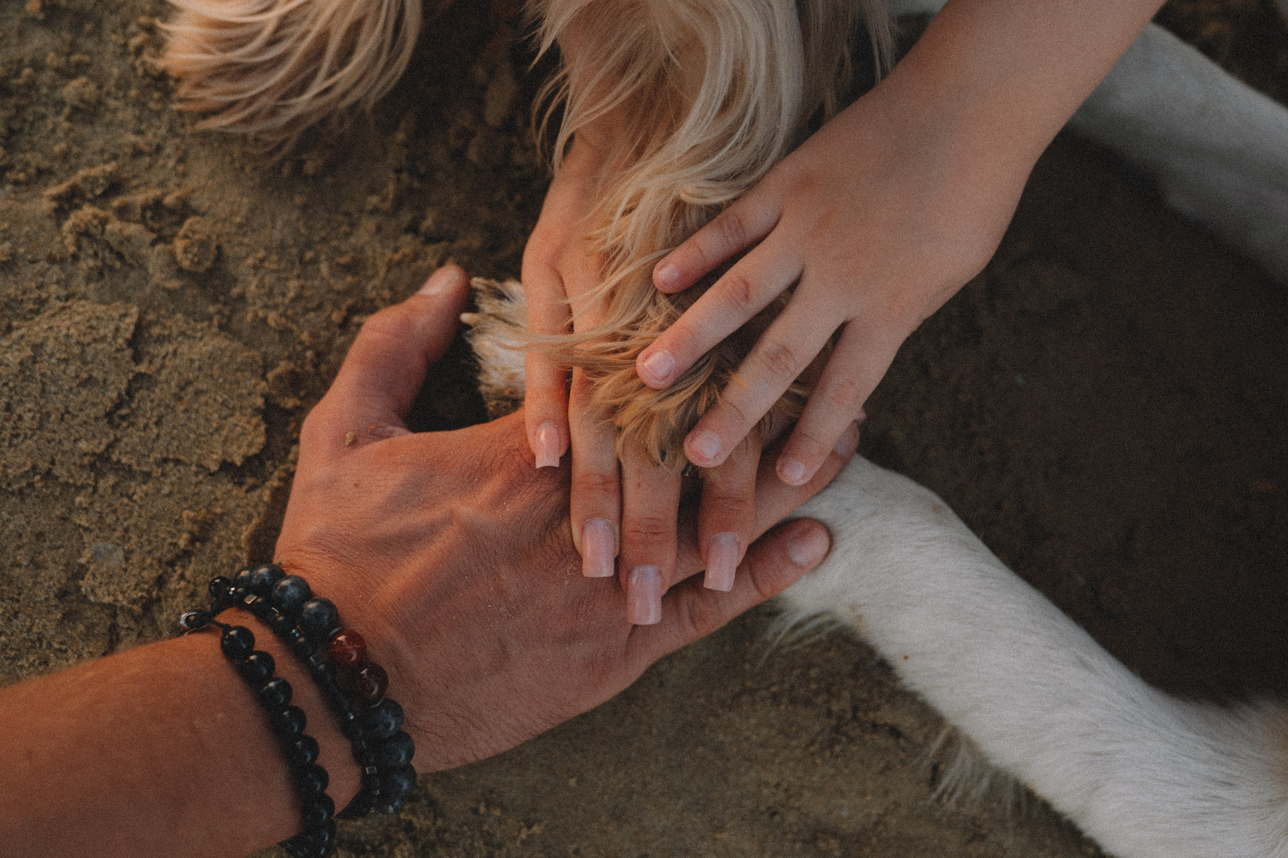 DogsVibe. Фотограф в Анапе Муратова Анна