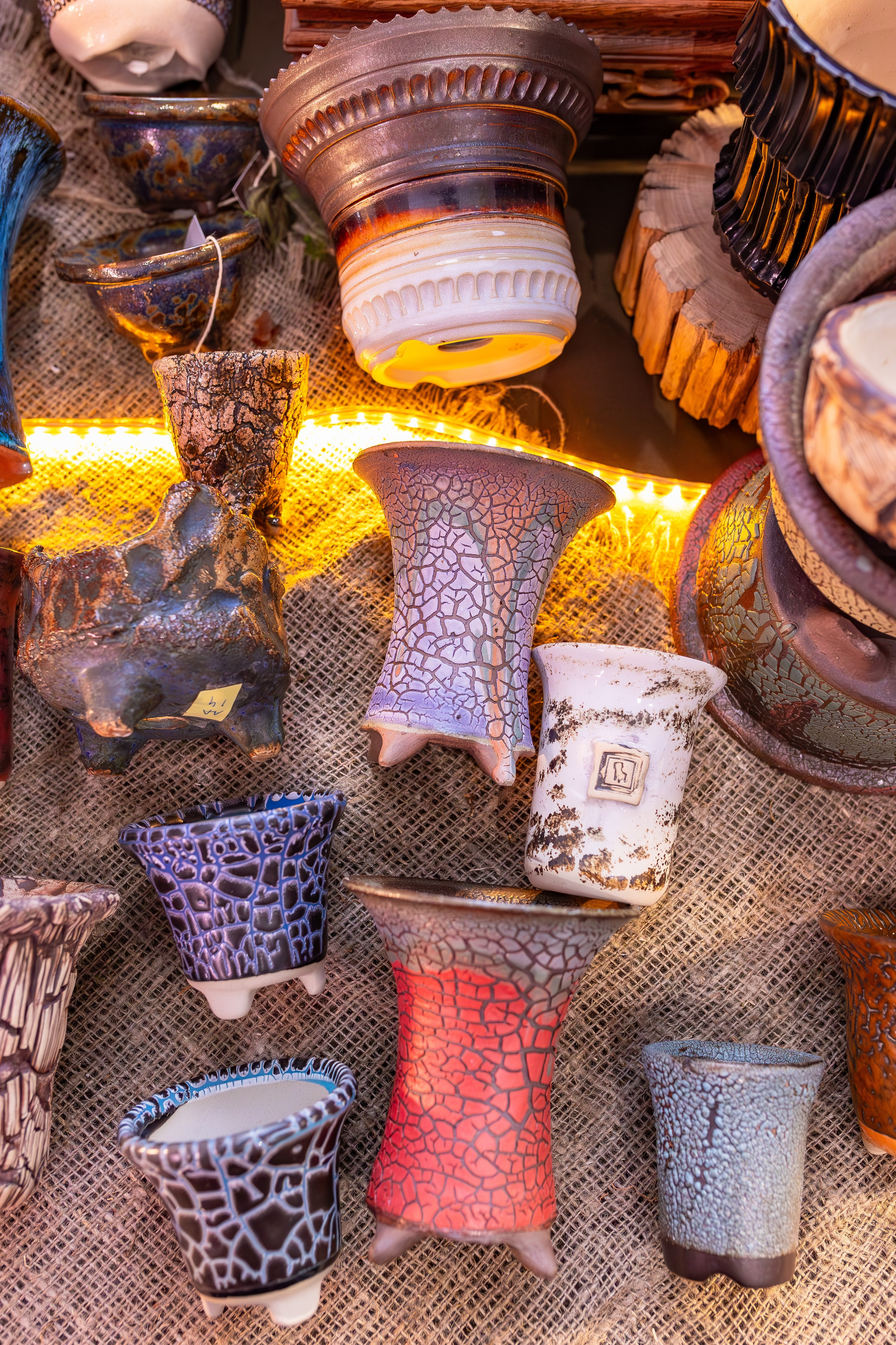 Орхидиум сентябрь 2025. Александра Куликова фотограф, Москва