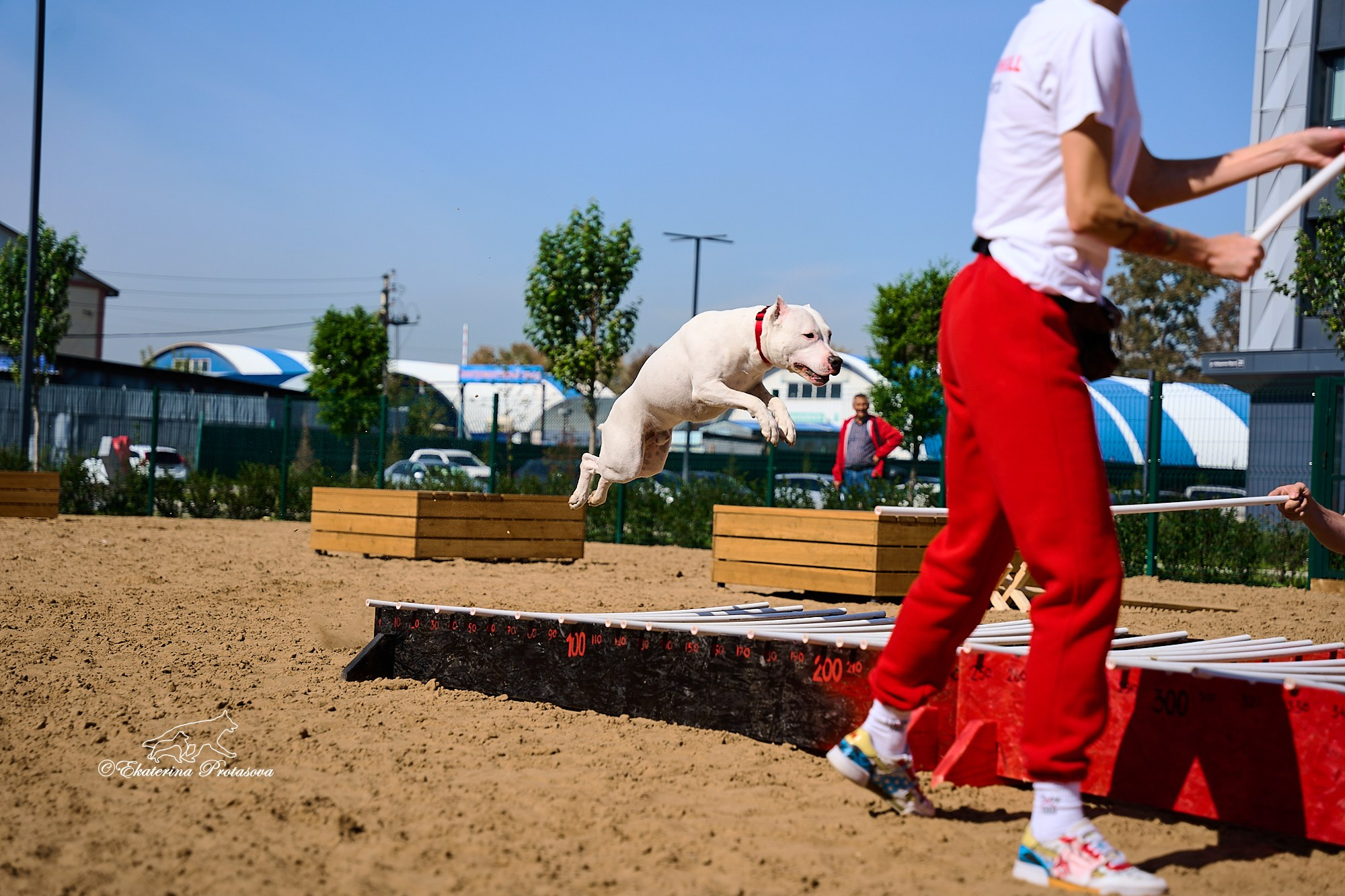 Питстафф многоборье. Фотограф-анималист в Иркутске