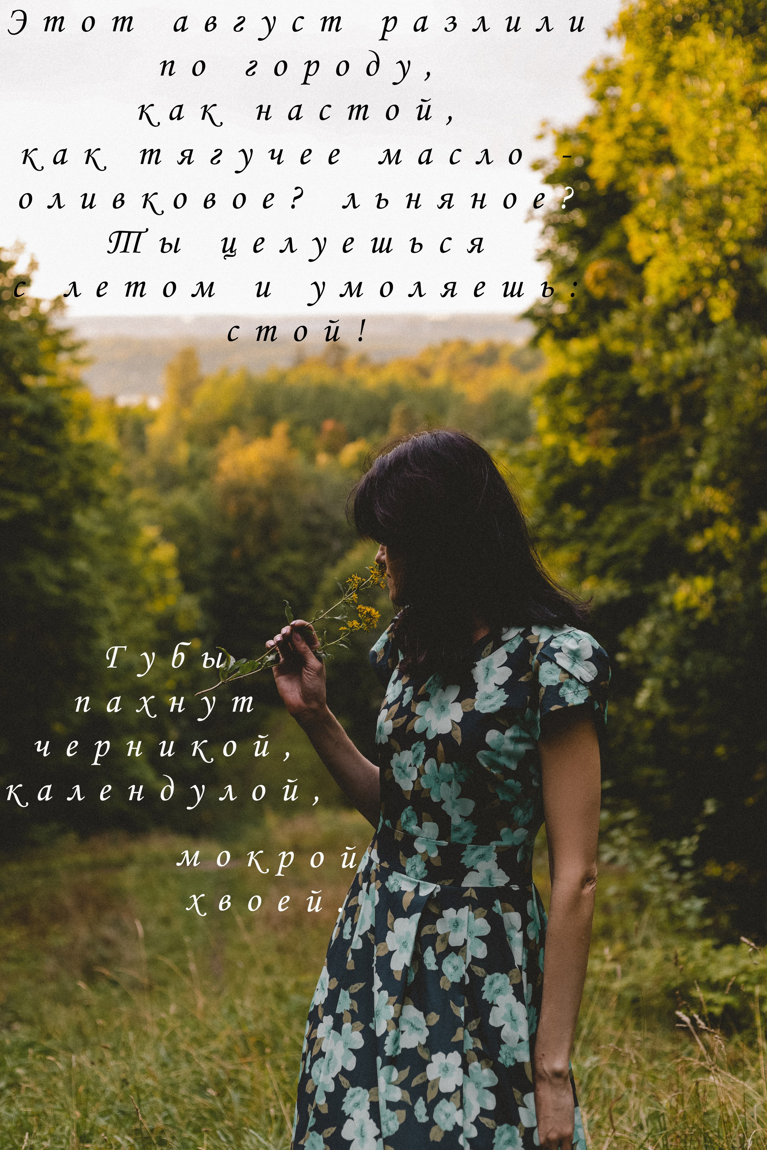 Август. Портфолио