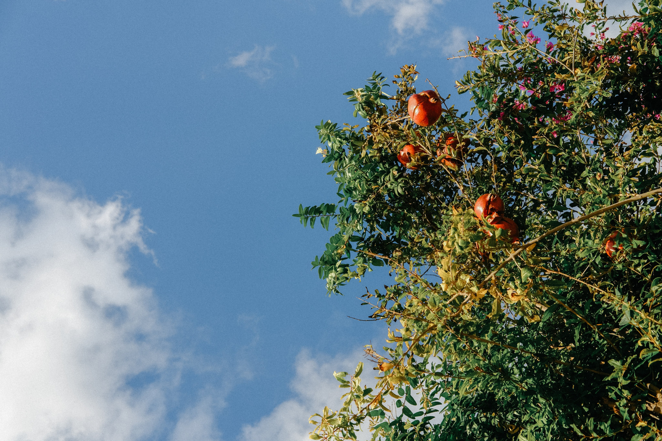 Lycian Way: Turkey. Обо мне