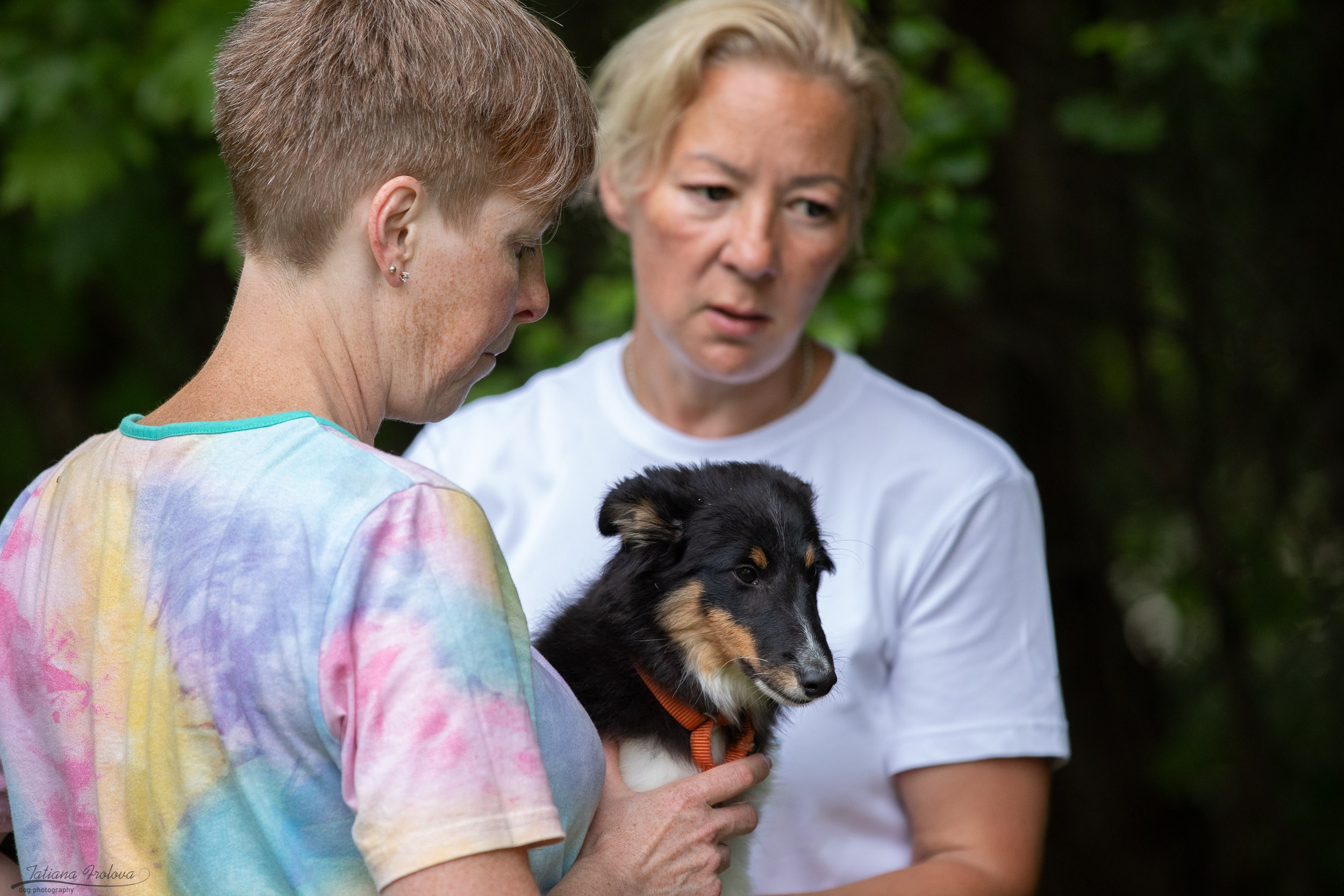 Репортаж с выводки молодняка колли/шелти в Ясенево. Фотограф-анималист в Москве и Московской области Татьяна Фролова