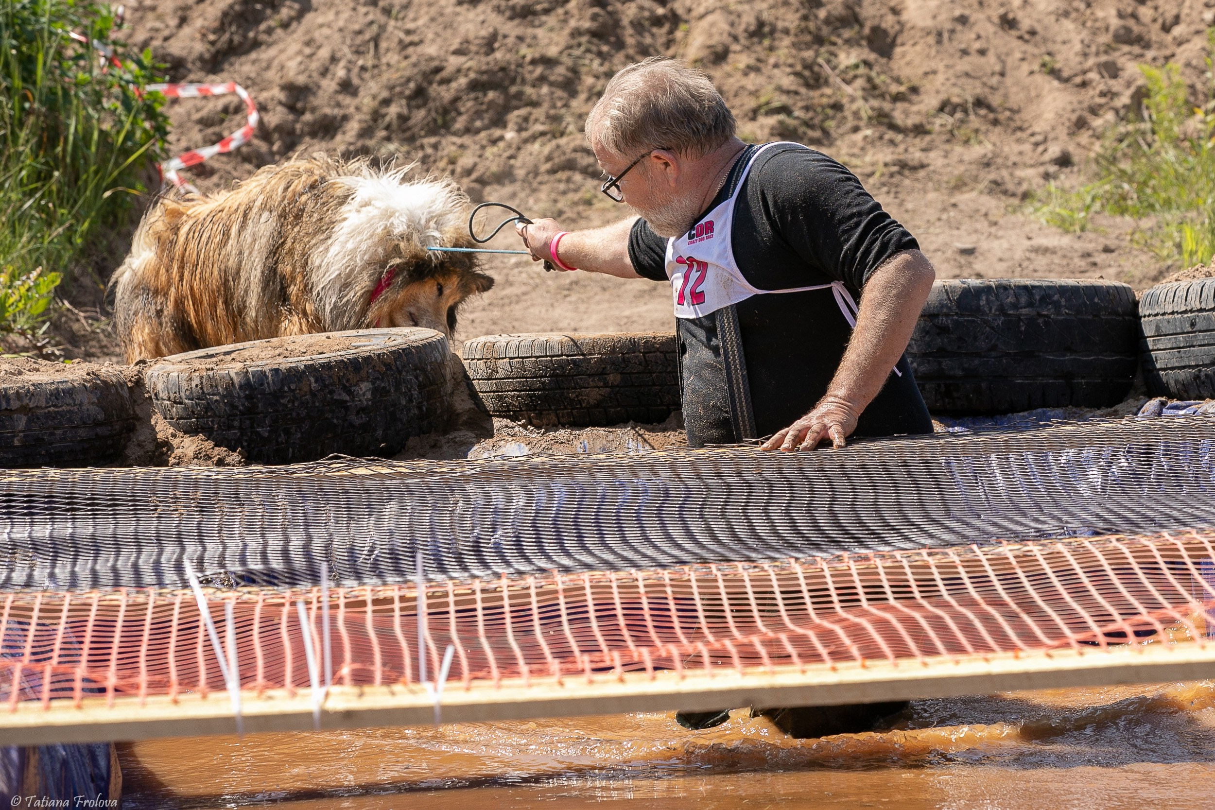 Фоторепортаж с забега с собаками. Фотограф-анималист в Москве и Московской области Татьяна Фролова