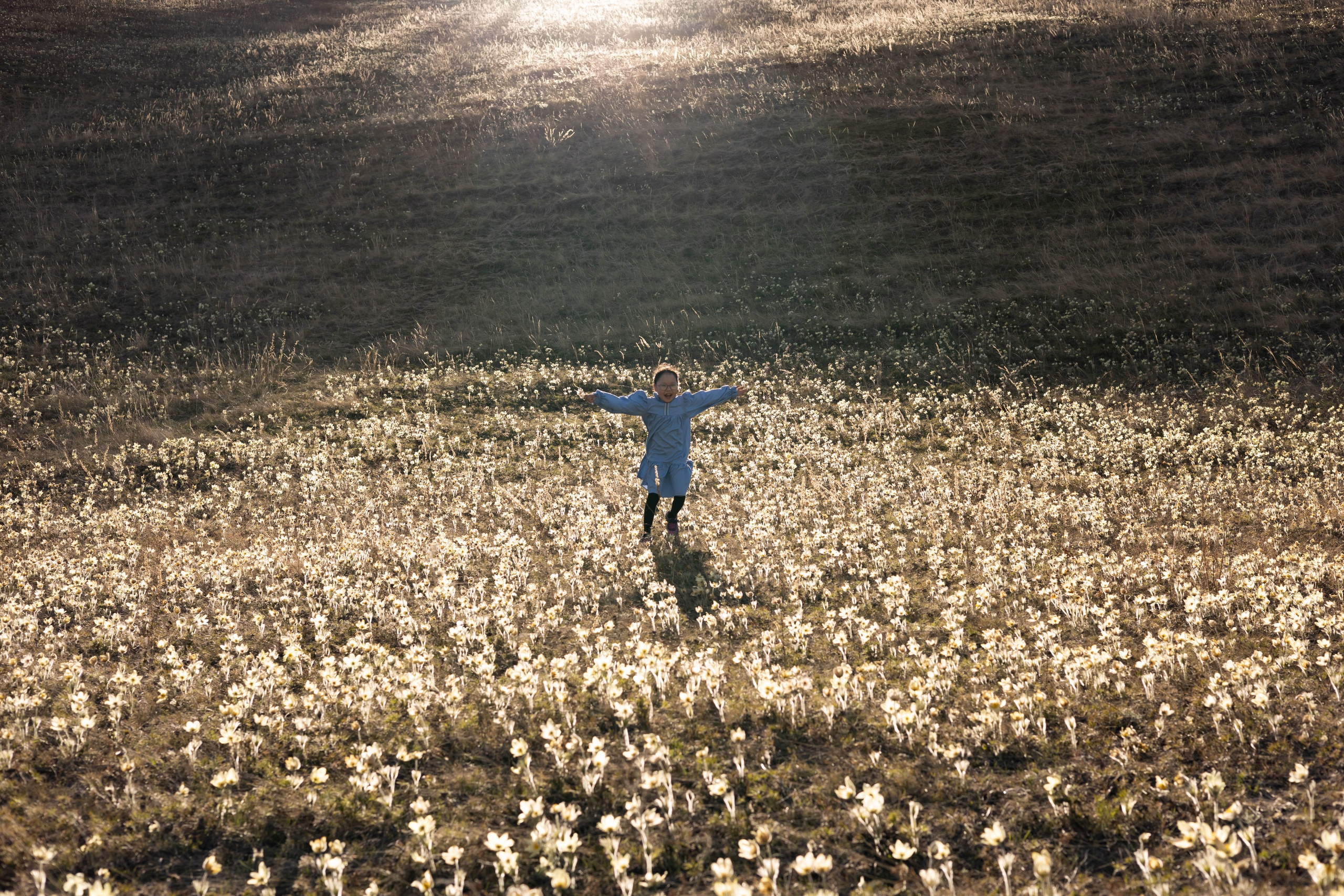Подснежники. Студийный и репортажный фотограф в Якутске