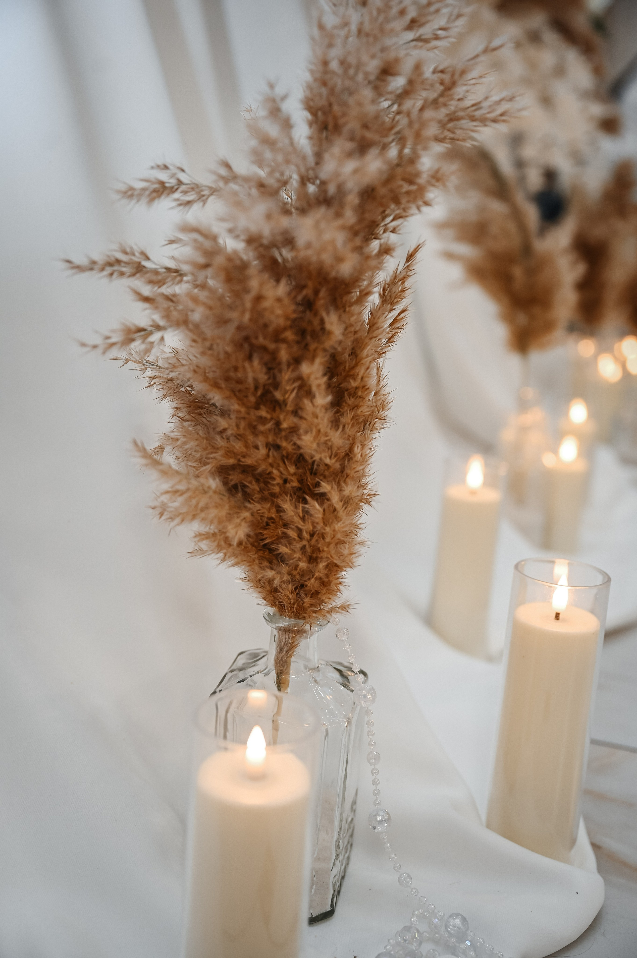 Марина Максим лошади. Фотограф Алёна Мил