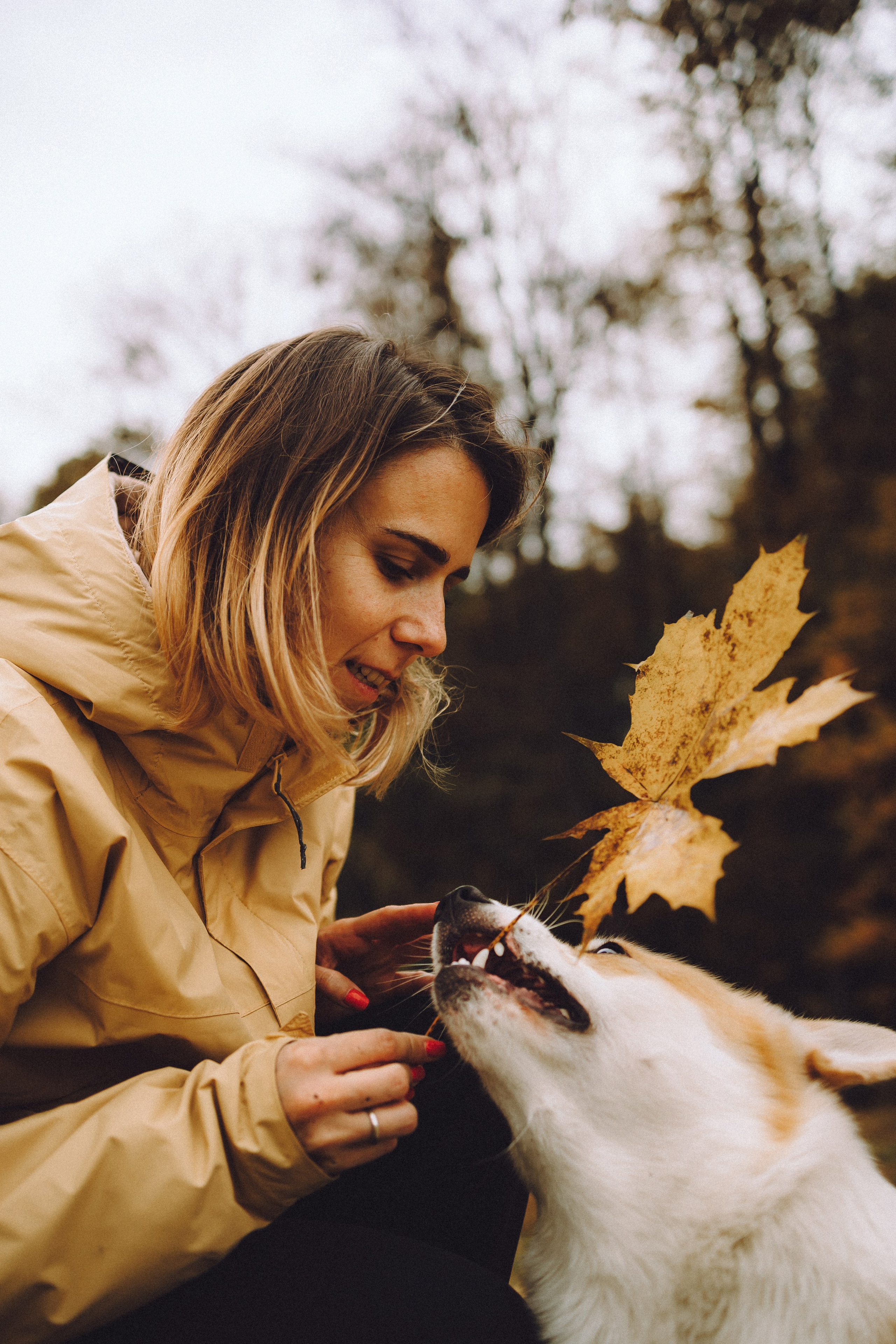 Вирджик и его семья