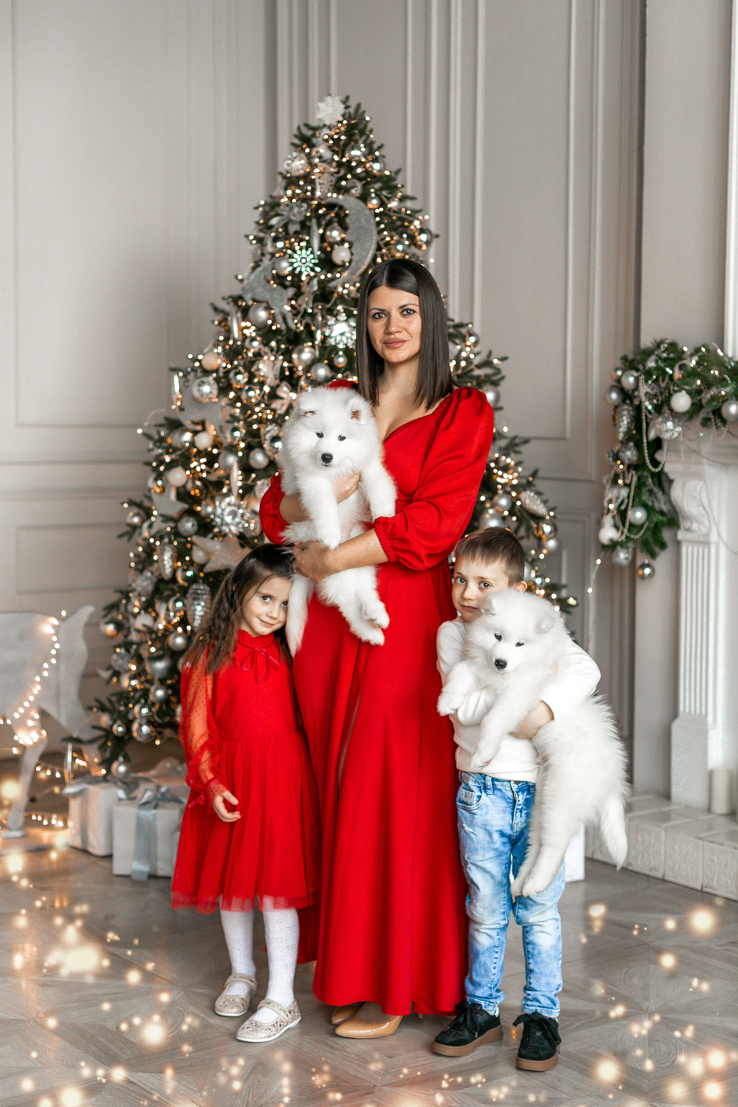 Фотосессия с животными в студии. Фотопроекты, фотодни и фотосессии в Москве