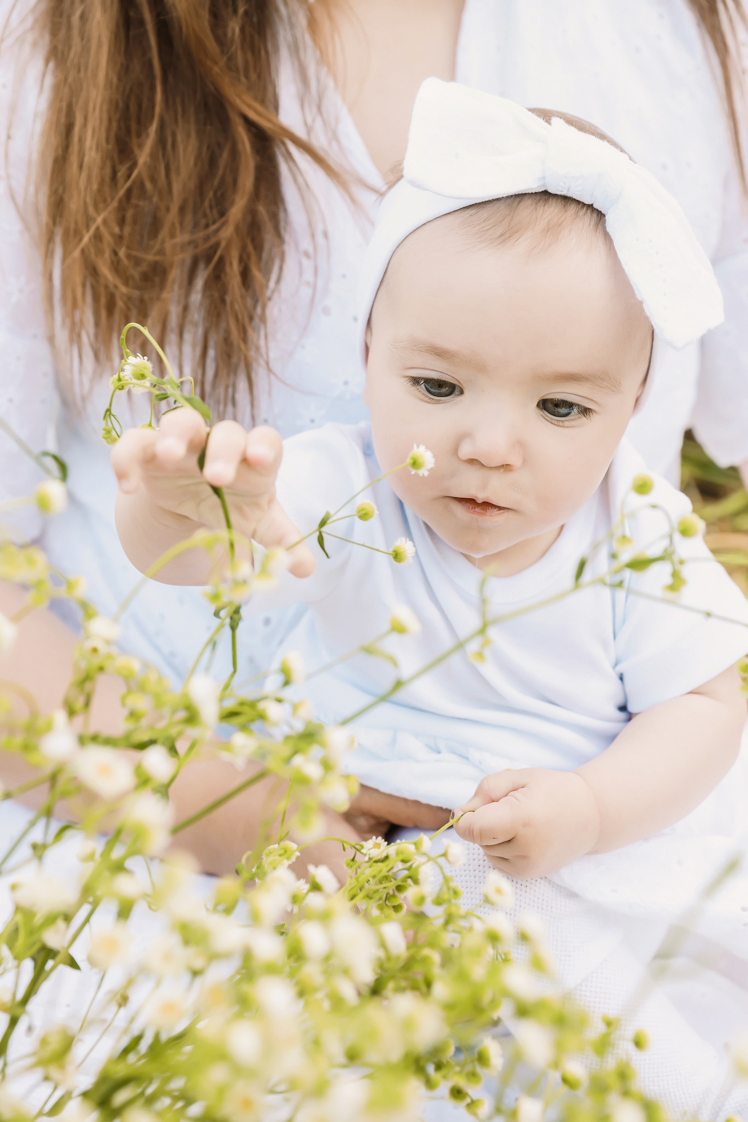 Семейная в колосках. Школьный и детский фотограф Старожилово