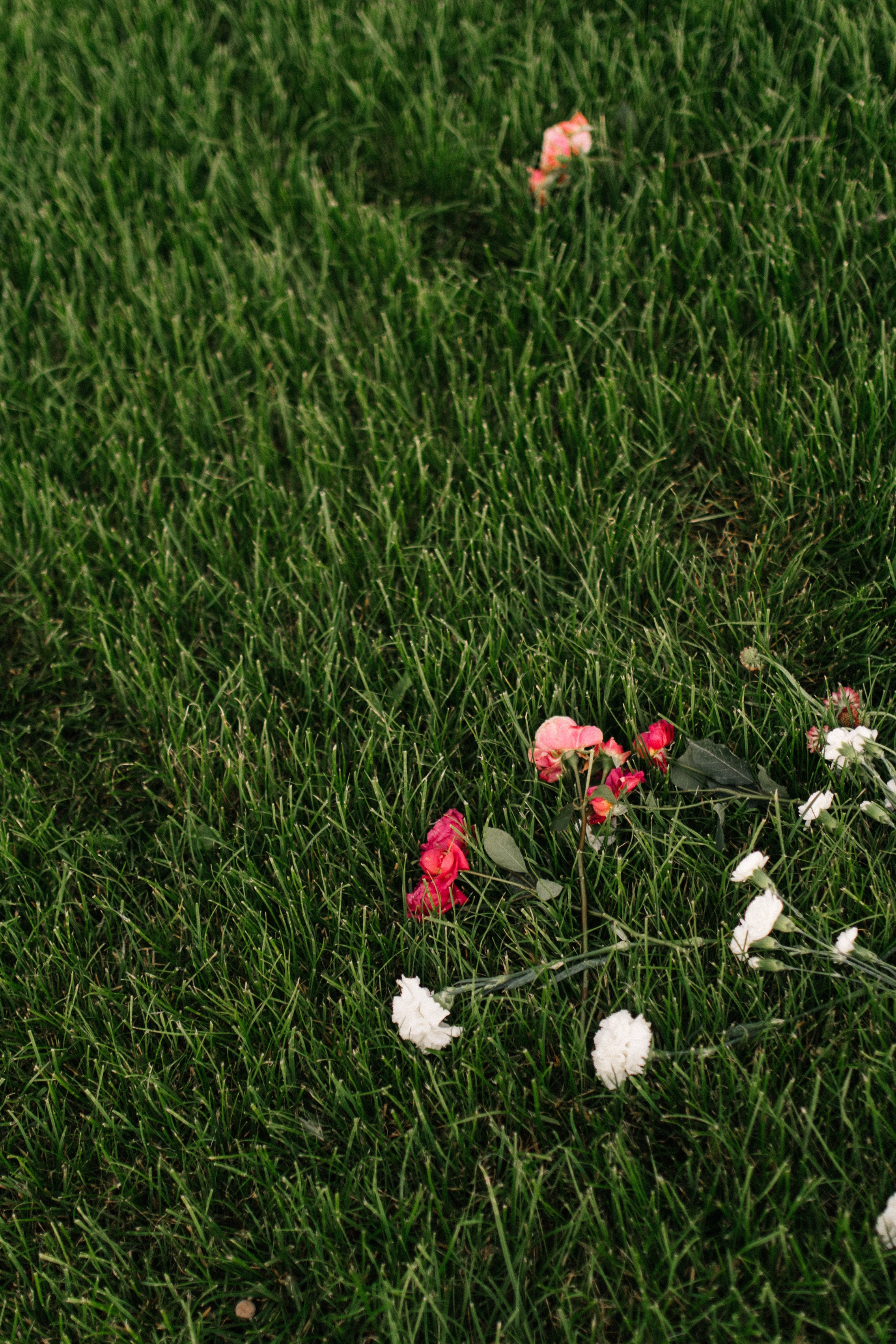 Даниил и Мария. Мордвинова Татьяна