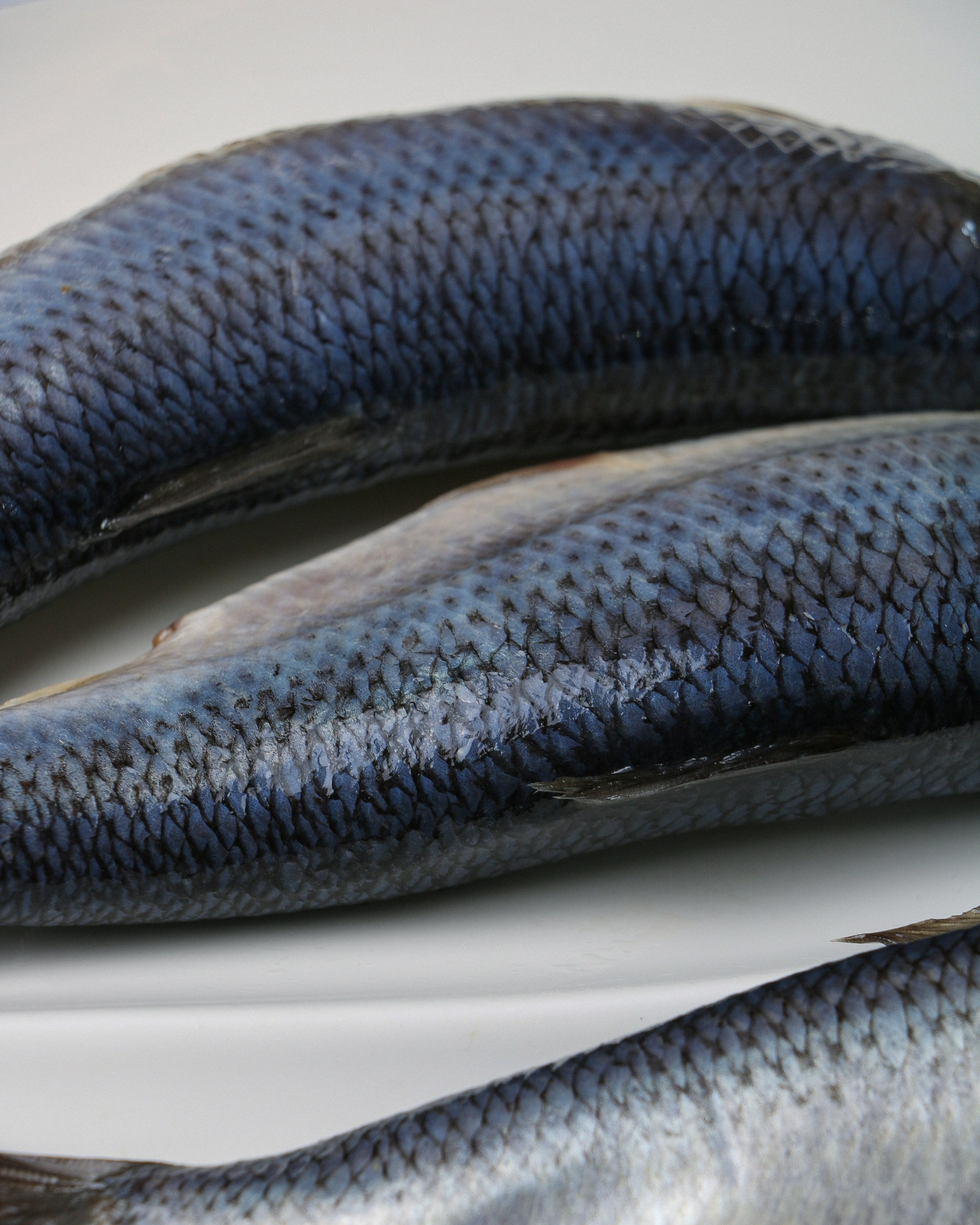 Dolce vita. Контент-фотограф Калининград АНАСТАСИЯ ТКАЧЕВА