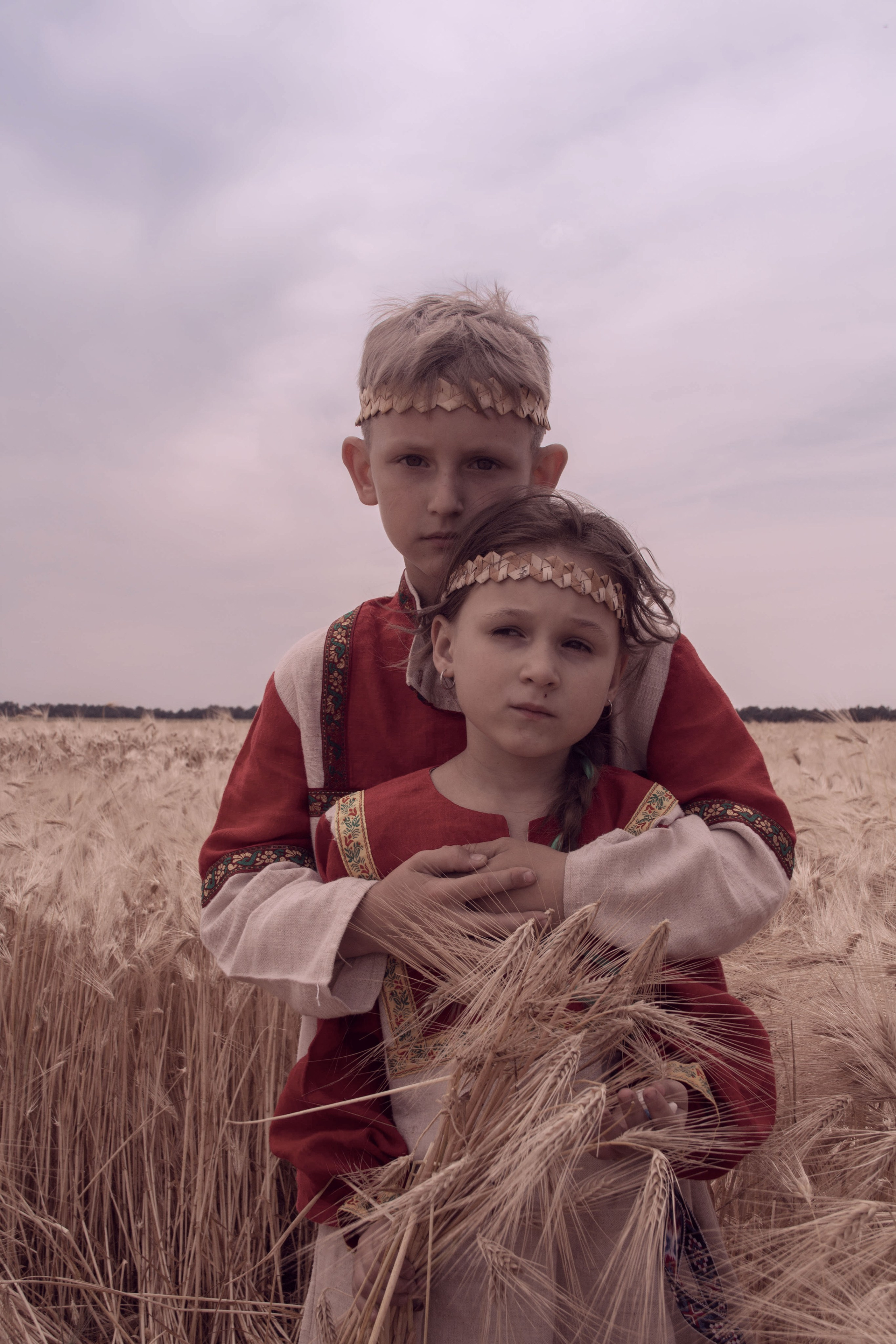 Поле золотое