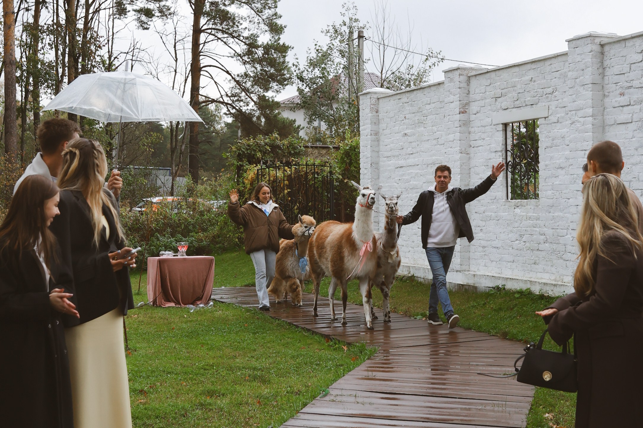 Зеленоградский ЗАГС. Свадебный фотограф Курзина Ольга | Москва