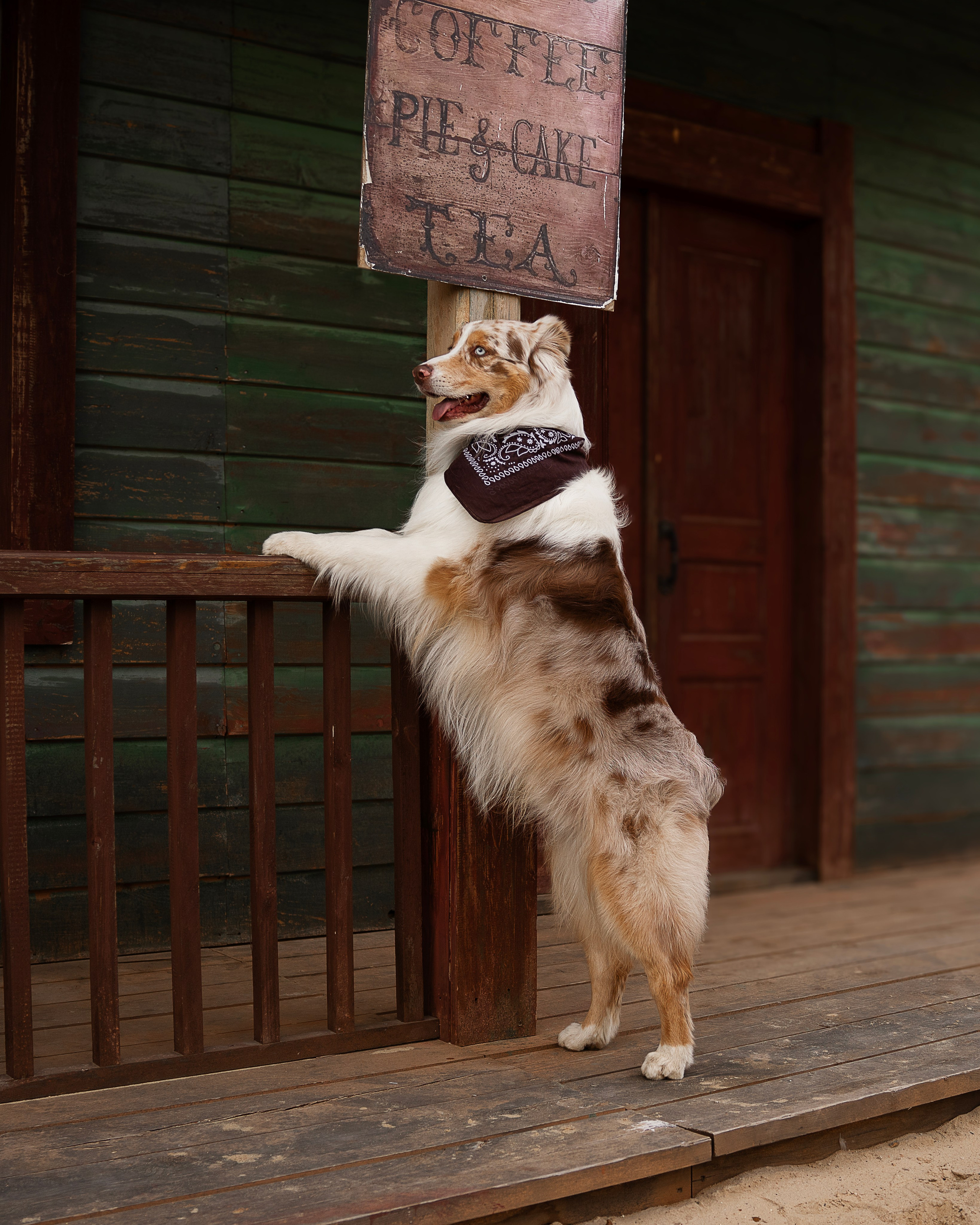 Художественные съёмки