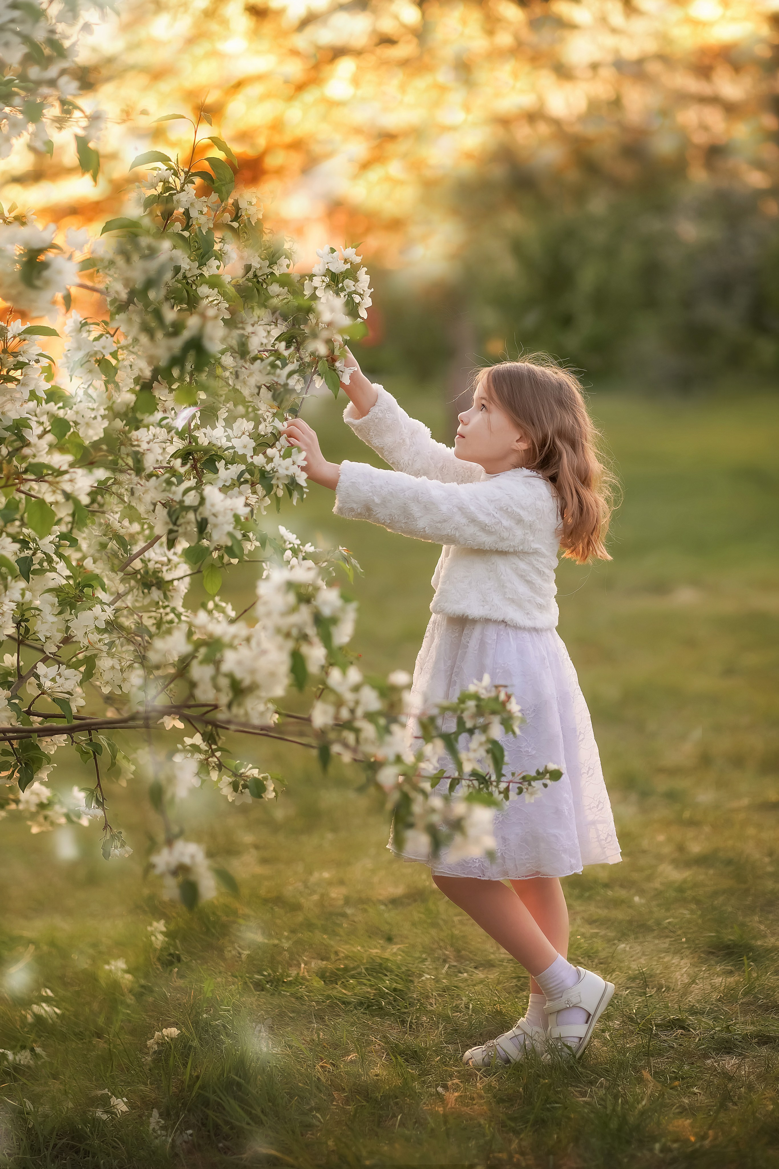 Цветение. Фотограф Татьяна Митрофанова