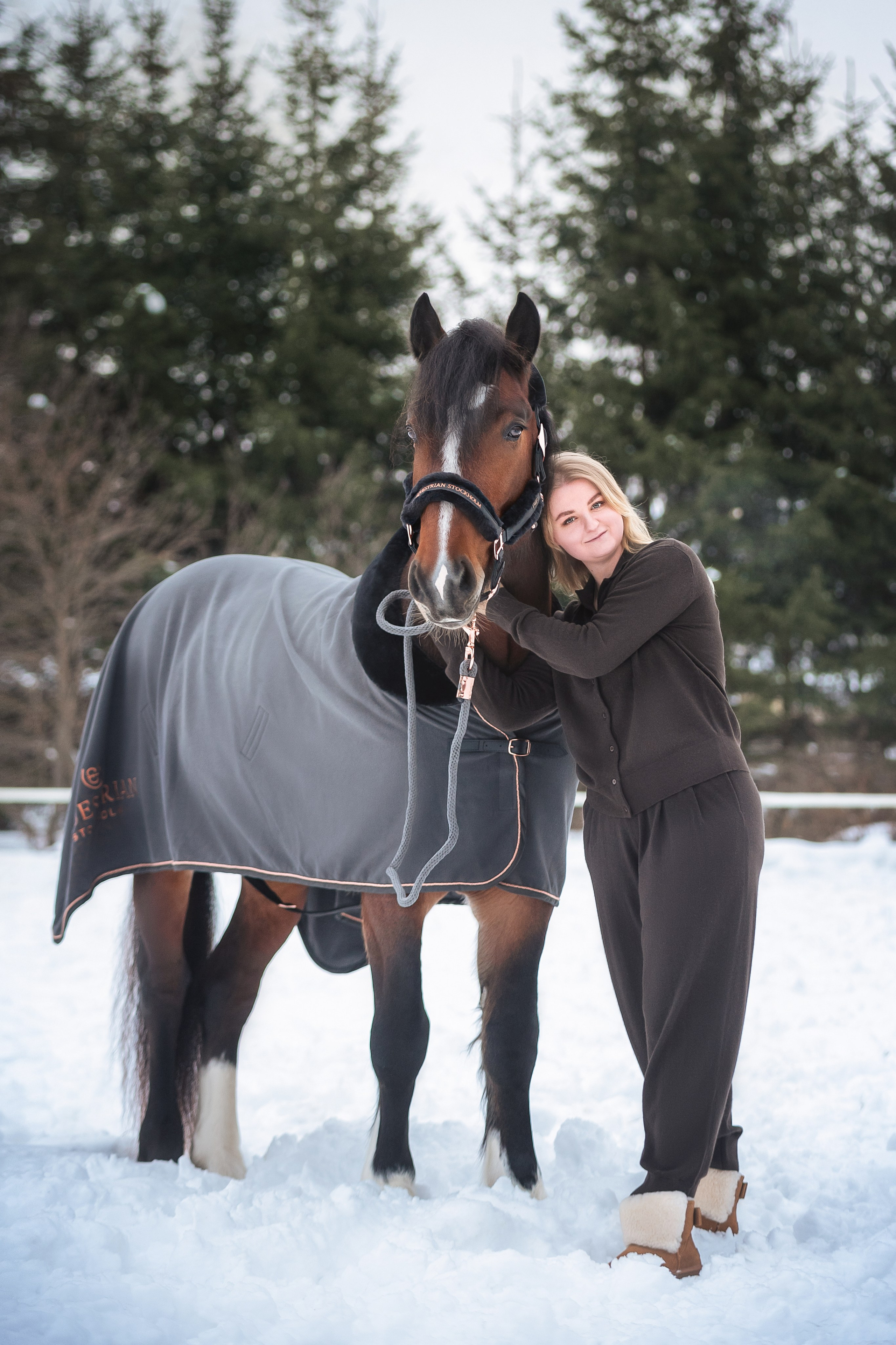 Новогодний Волконский. Конный фотограф Куракина Дарья • Фотосессии с лошадьми