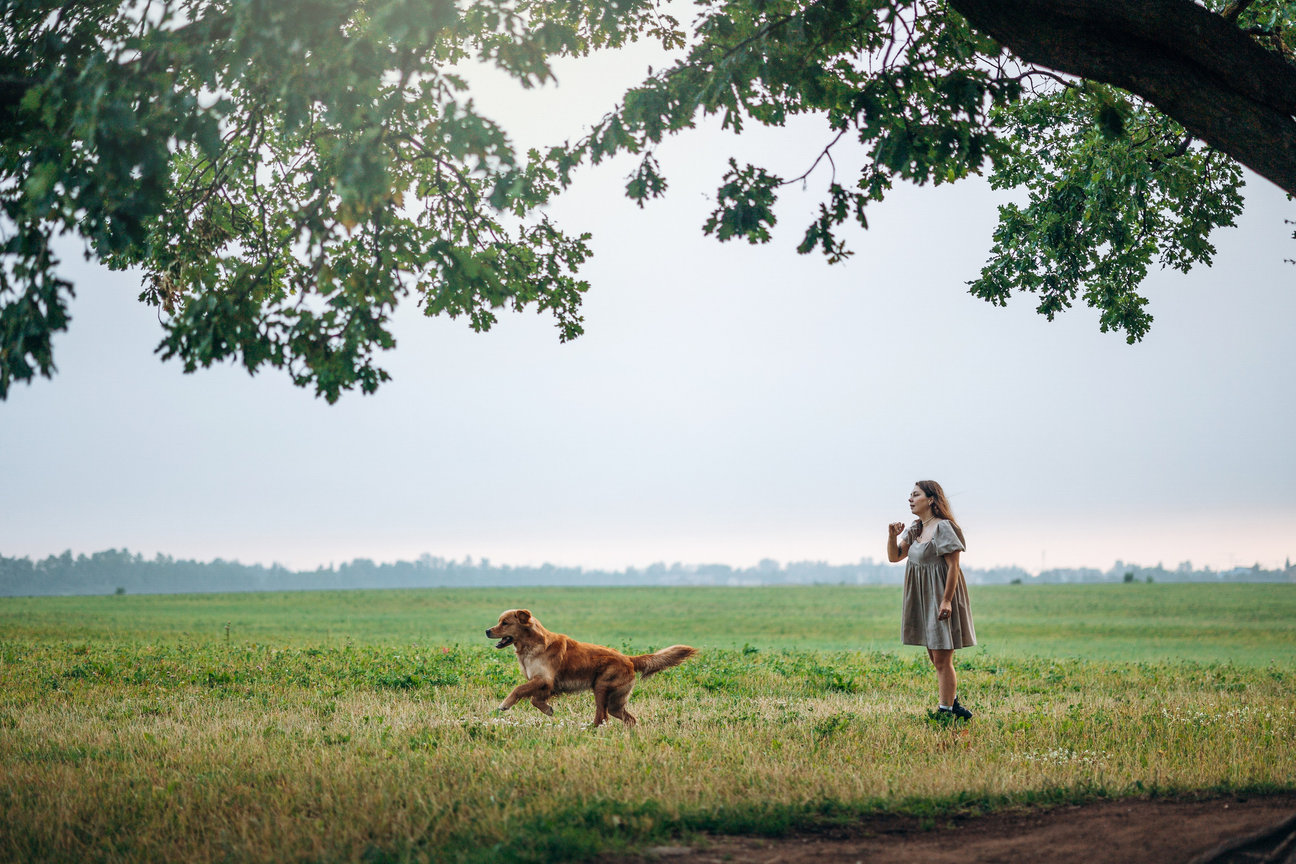 Аня и Ноллан. Фотограф — Анималист | Санкт-Петербург