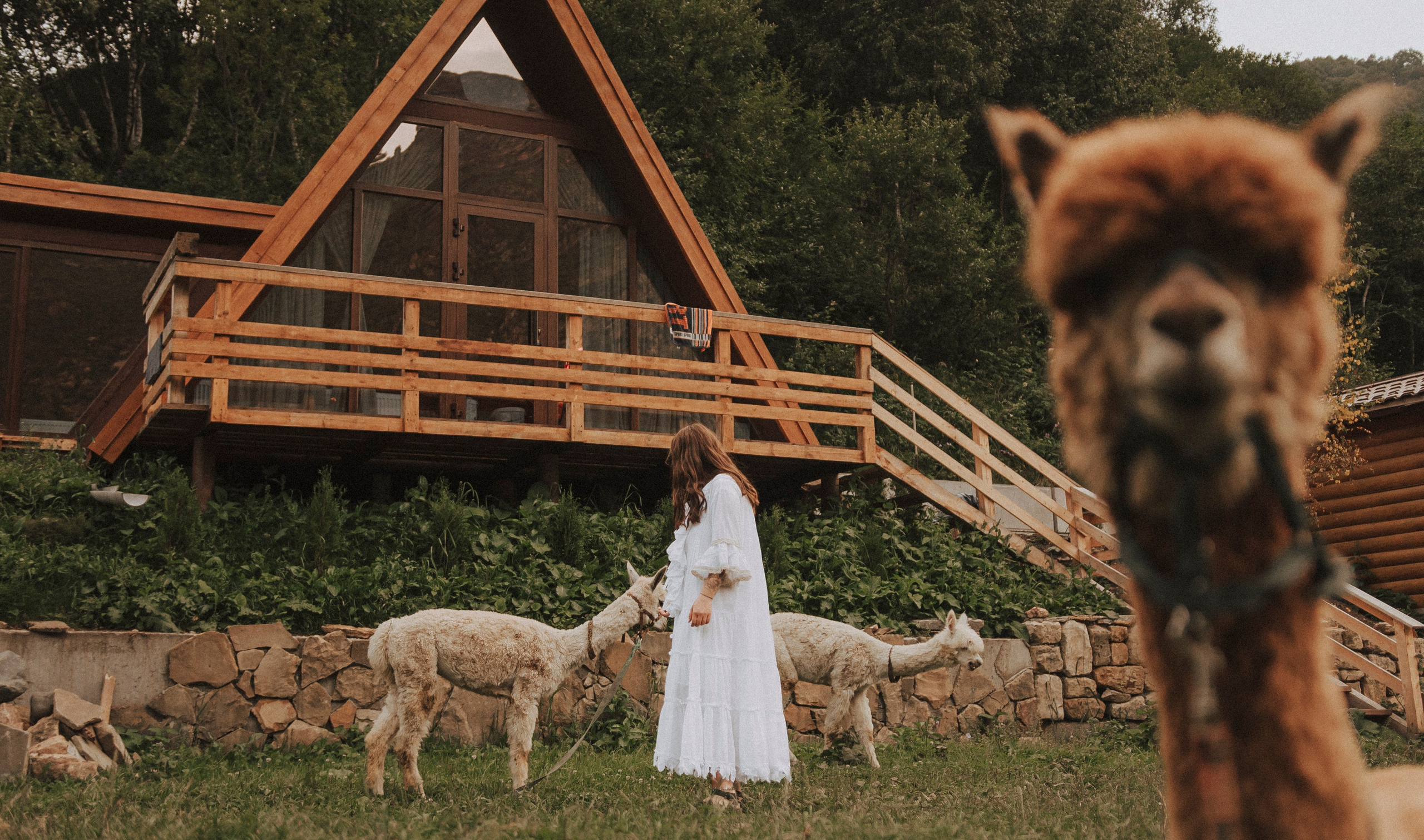 TIGRAN & VICTORIA | KISLOVODSK. Фотограф Настя Конник | Пятигорск | Эльбрус | Домбай | Архыз