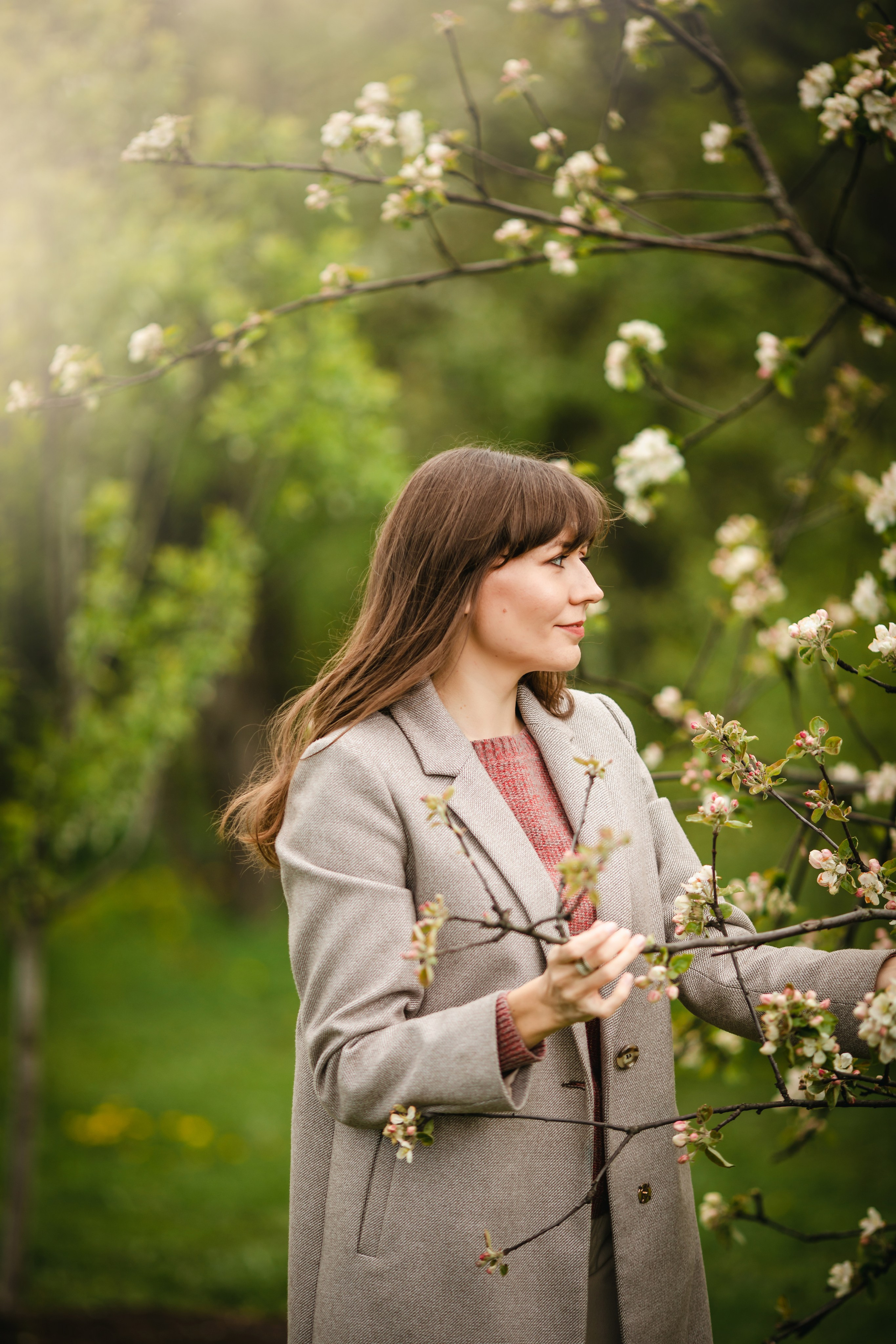 Яблони в цвету. Olga.filippova.photo