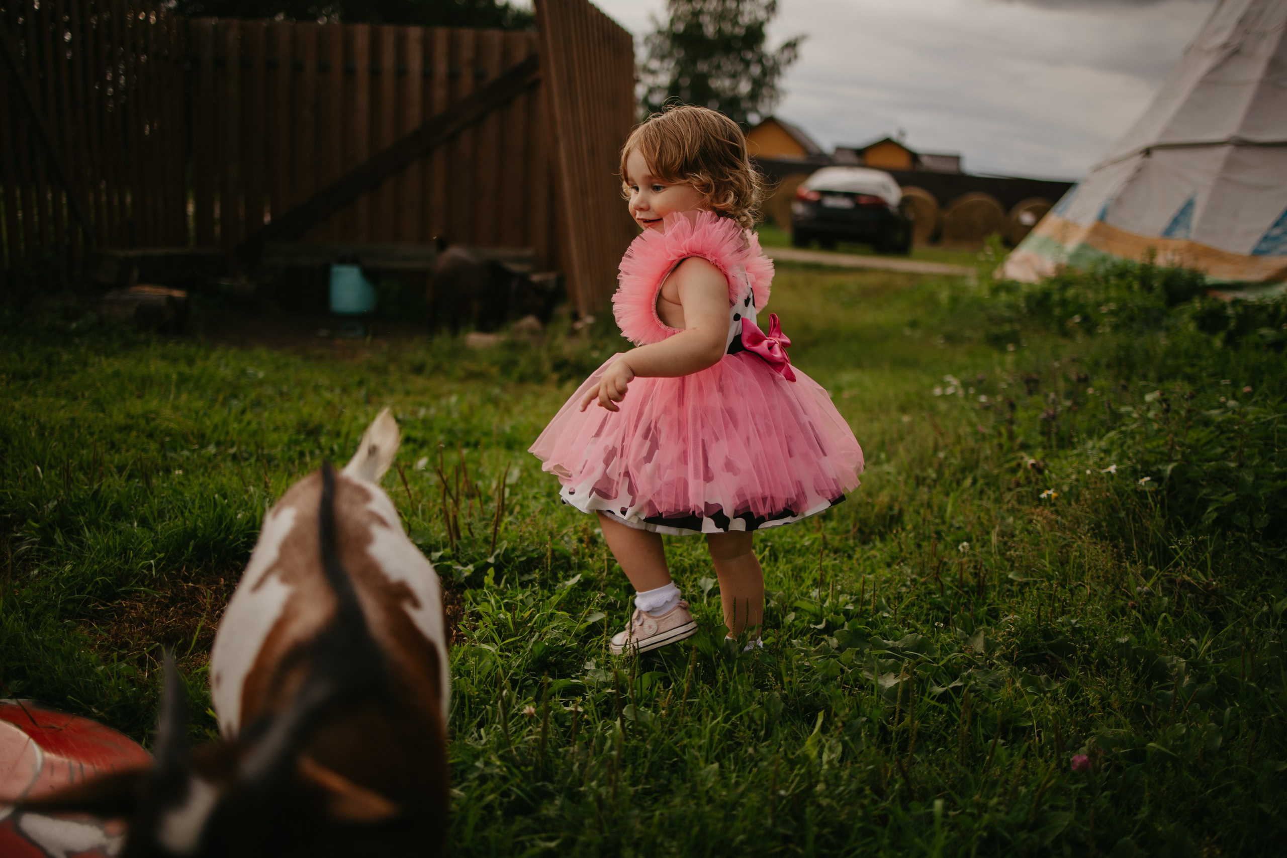 Лера 2 годика. Репортажный и портретный фотограф в Санктпетербурге. Видиосъемка мероприятий в Санкт-Петербурге