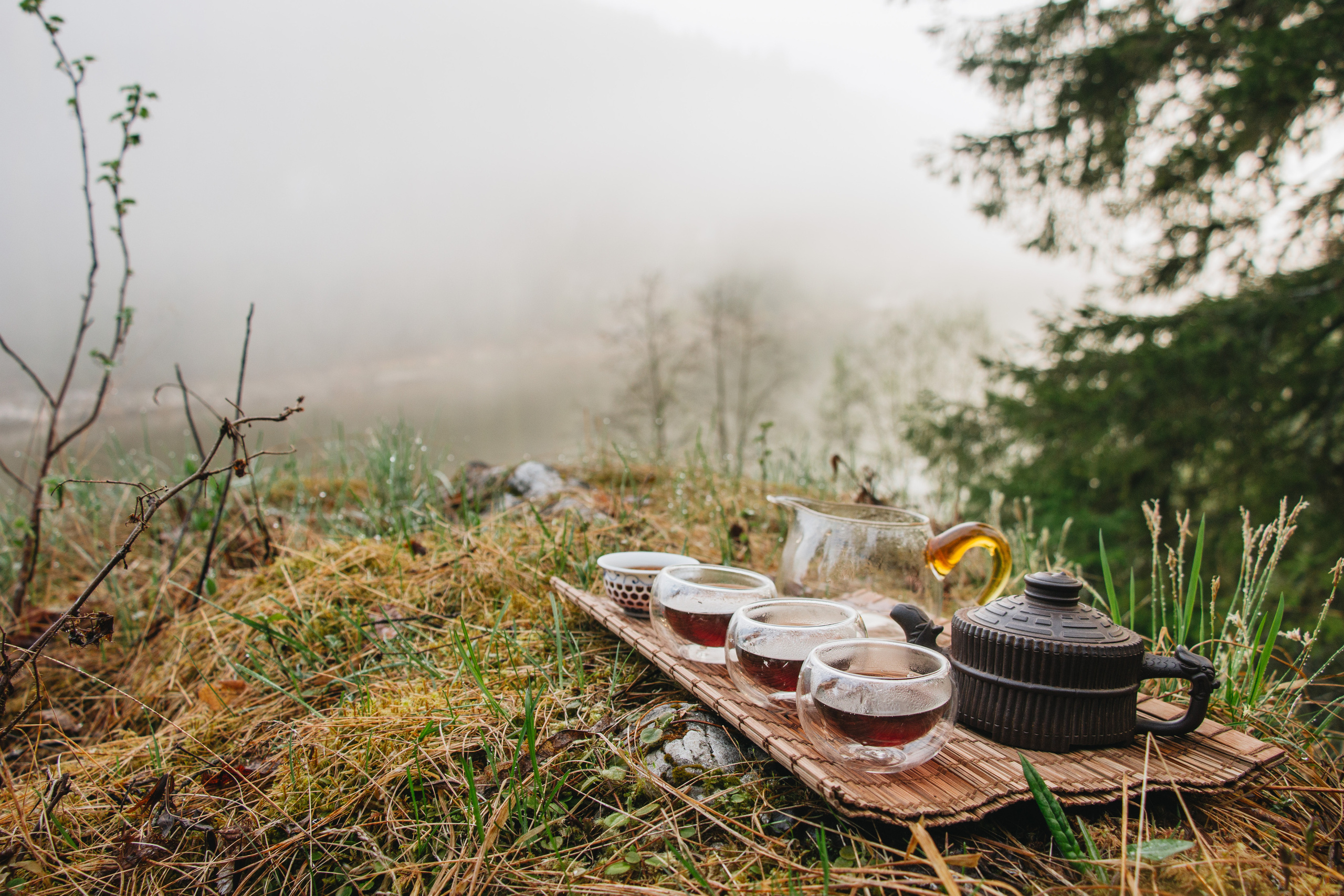 Сплав по Койве | Май 2020. Andrew Sozonov visual artist