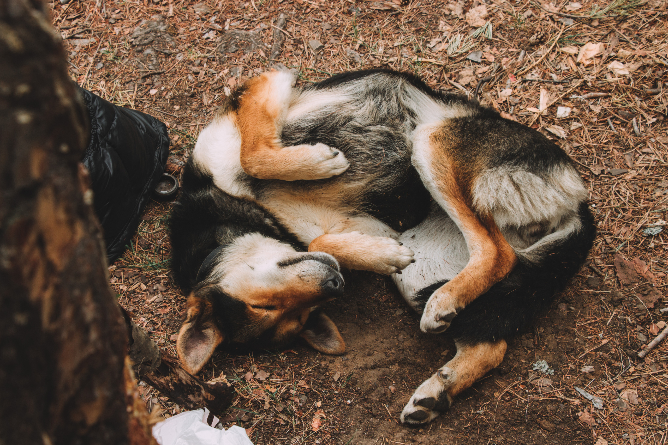 Аракульский Шихан | Май 2020. Andrew Sozonov visual artist