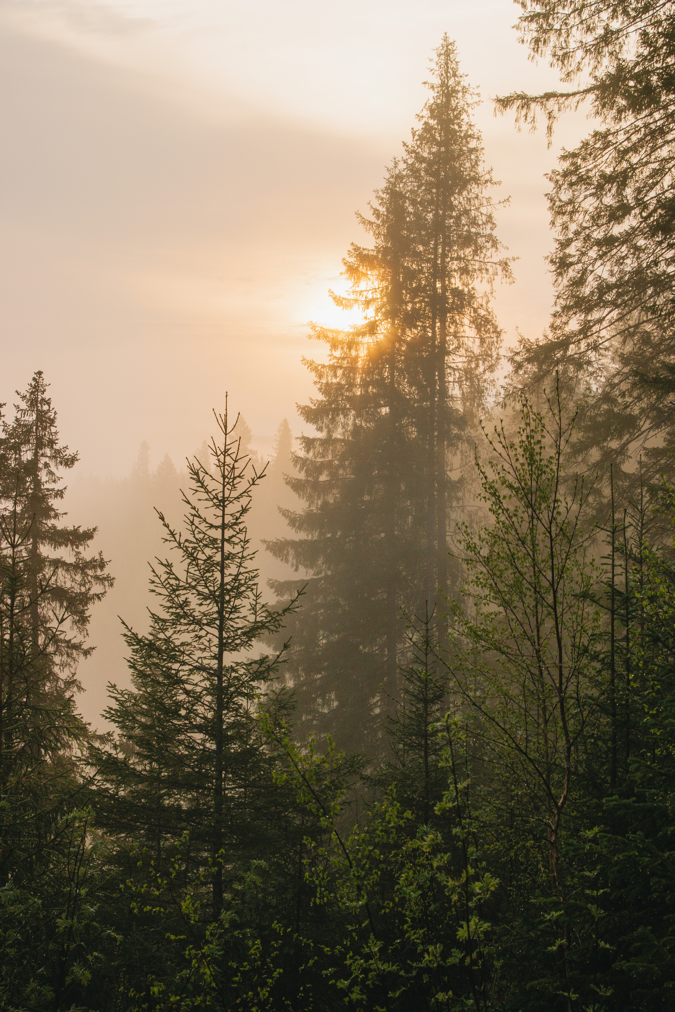 Сплав по Койве | Май 2020. Andrew Sozonov visual artist