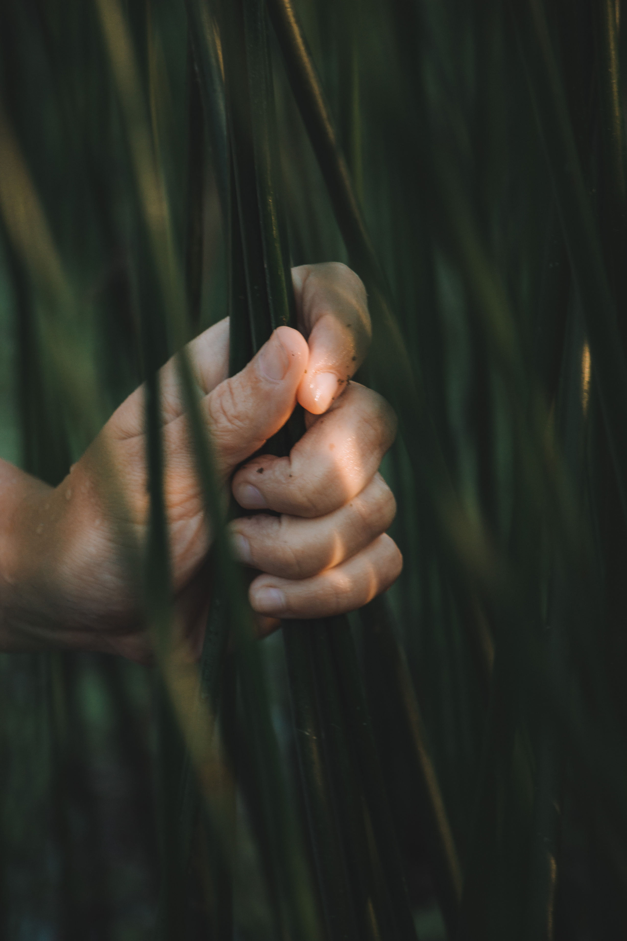 Вика. Andrew Sozonov visual artist