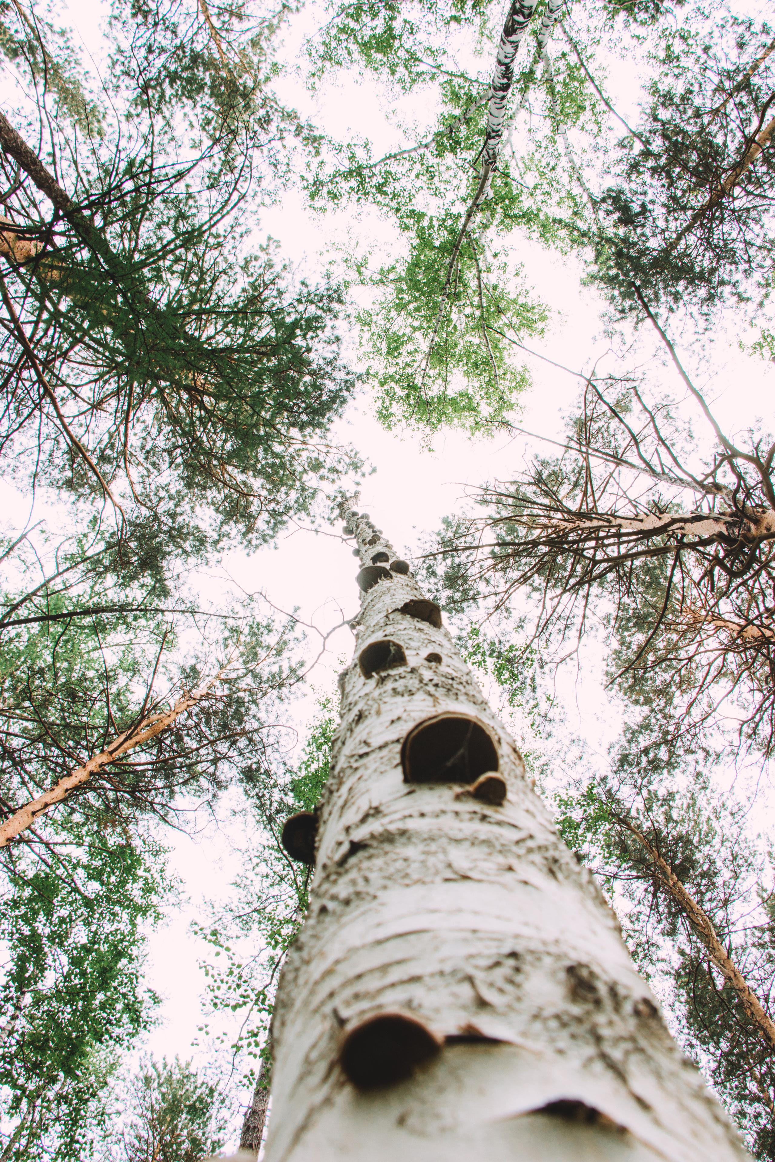 Аракульский Шихан | Май 2020. Andrew Sozonov visual artist