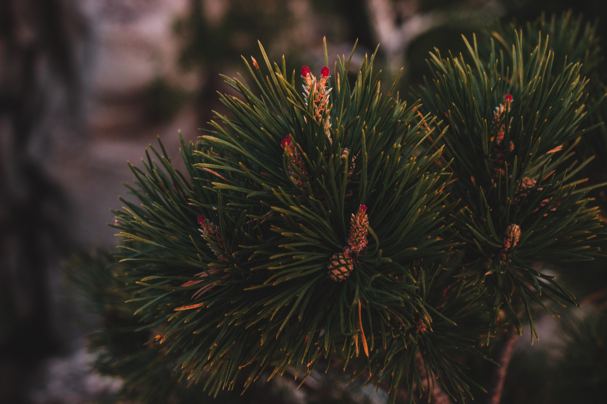 Аракульский Шихан | Май 2020. Andrew Sozonov visual artist