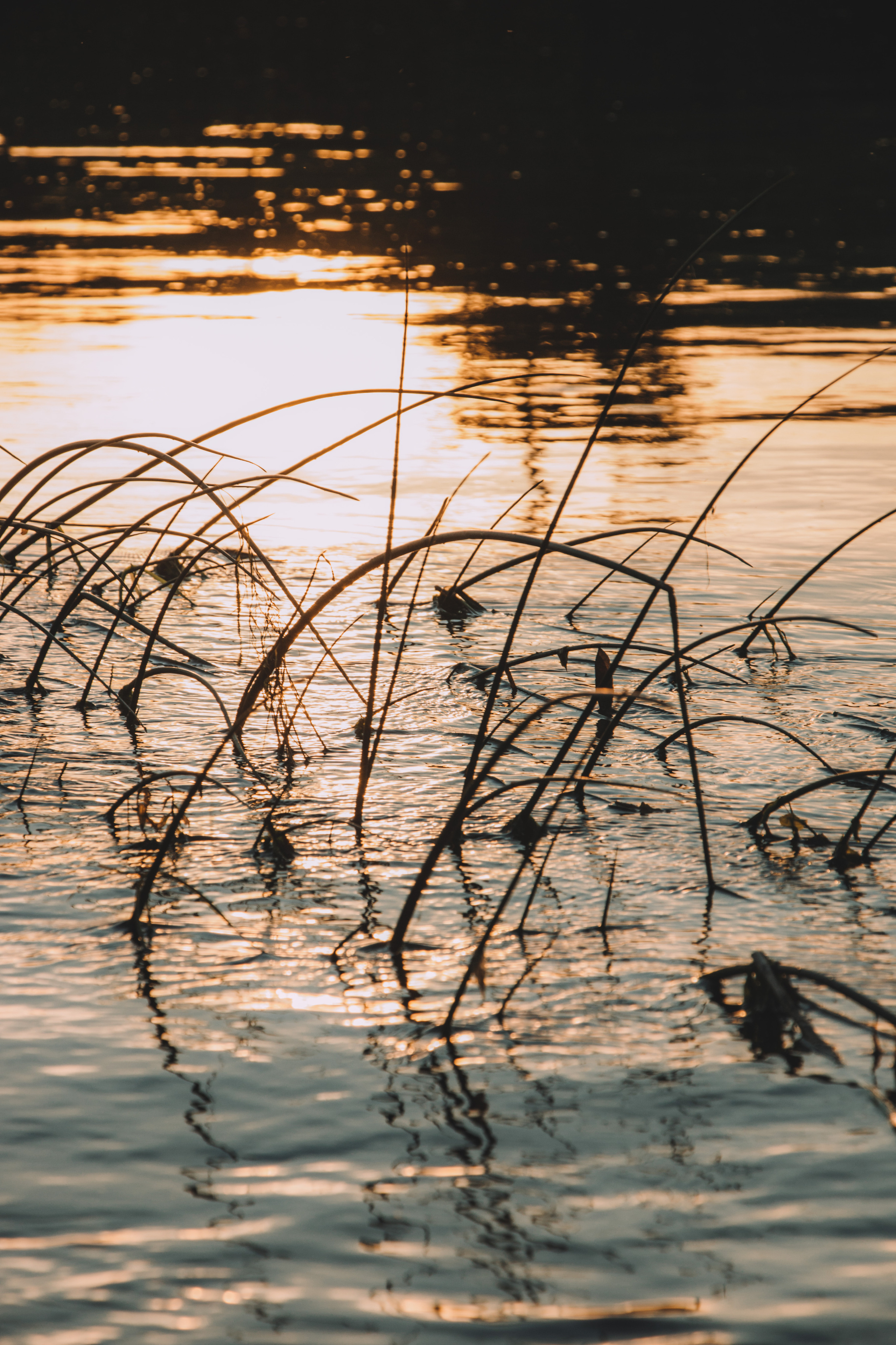 Вика. Andrew Sozonov visual artist