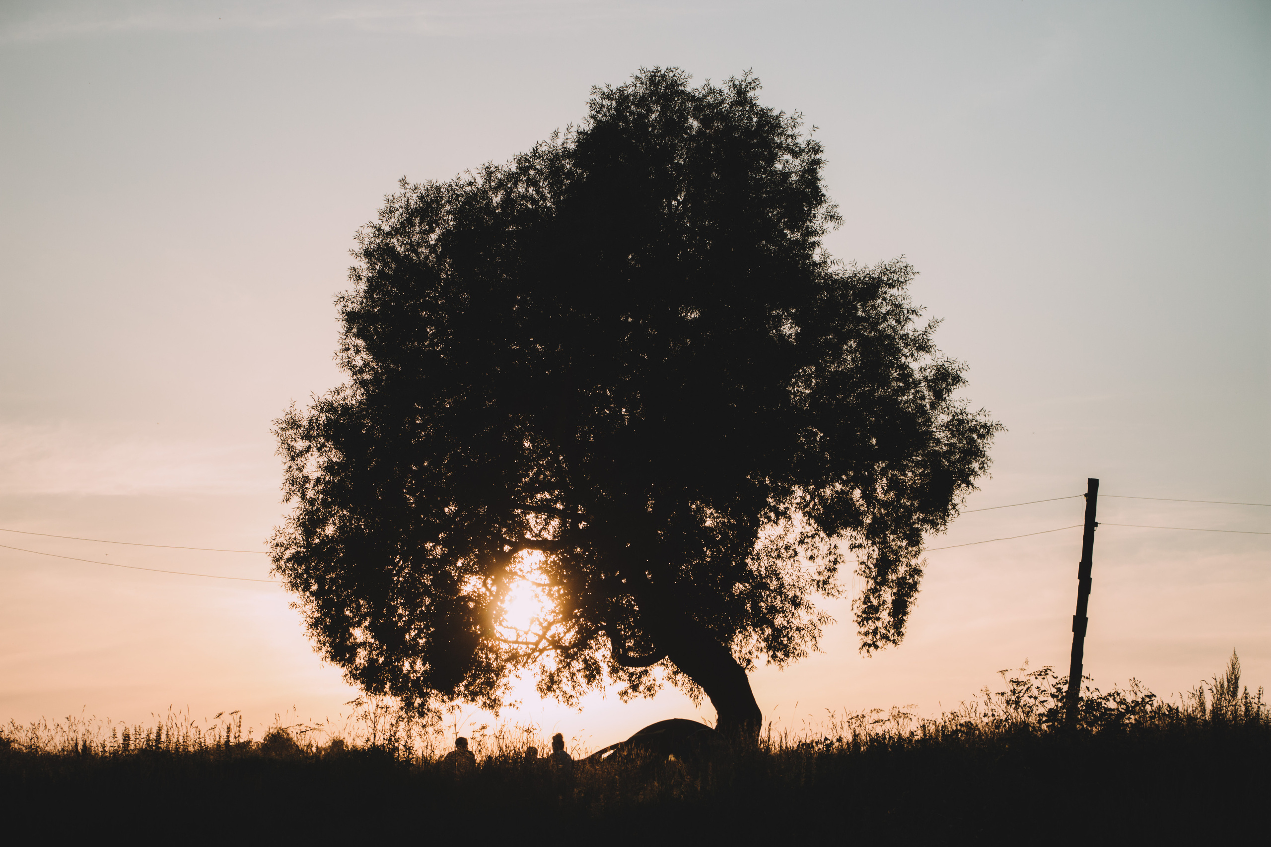 Вика. Andrew Sozonov visual artist