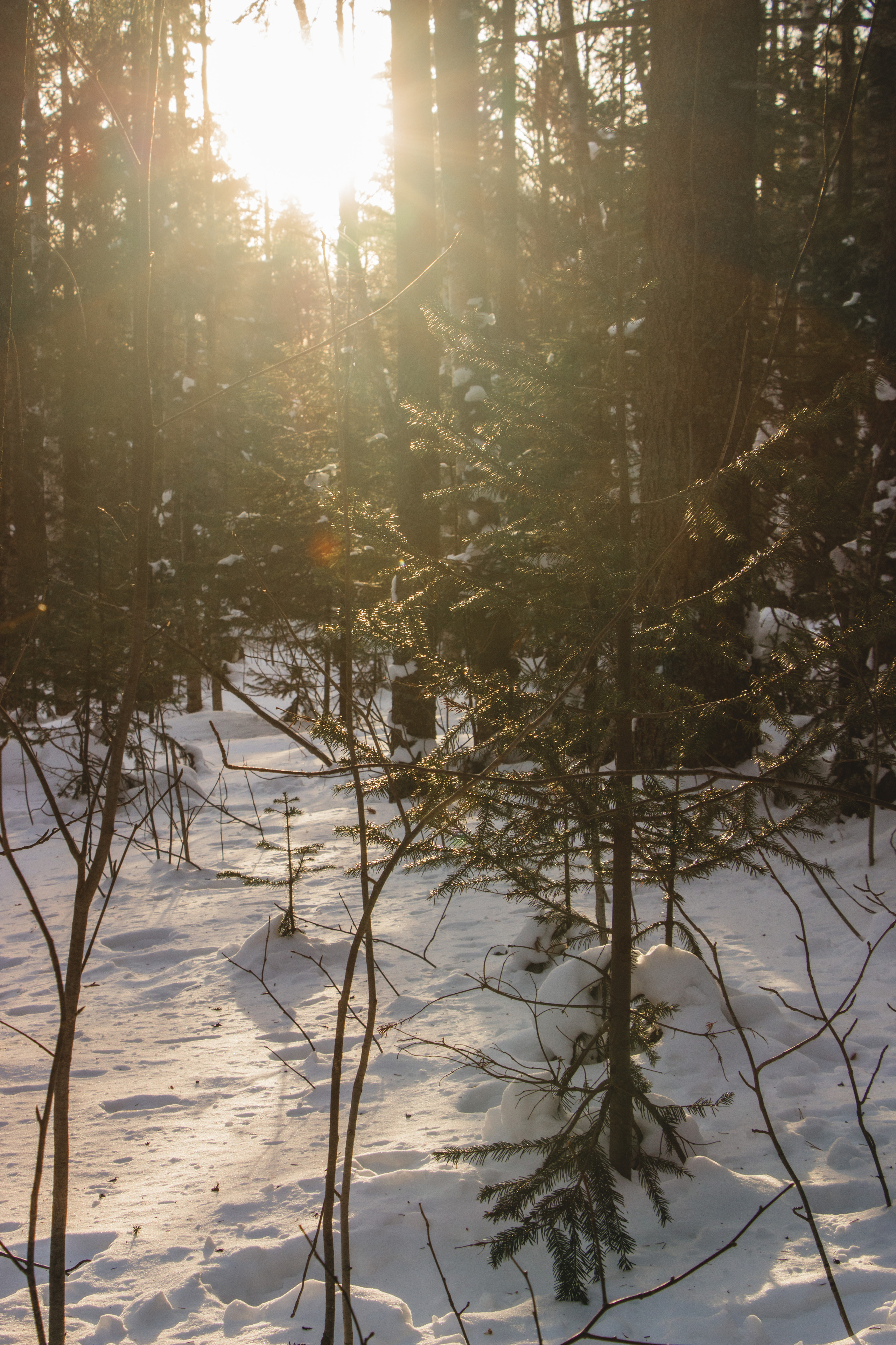 Таганай | Январь 2021. Andrew Sozonov visual artist