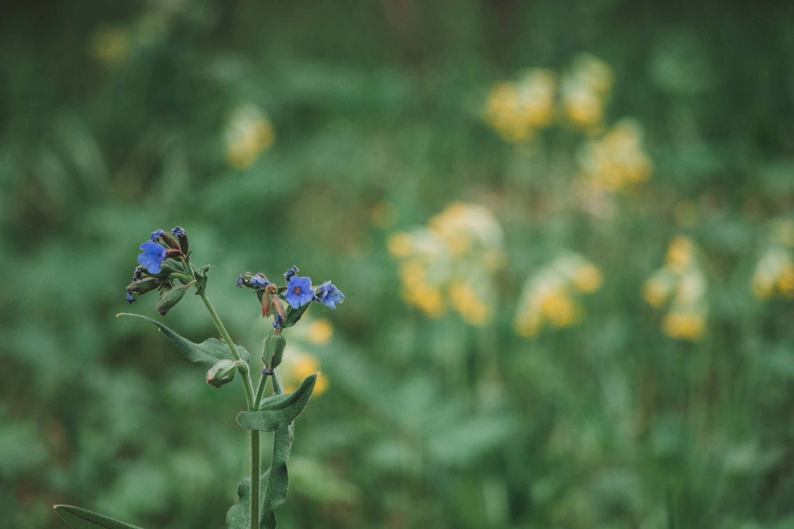 Аракульский Шихан | Май 2020. Andrew Sozonov visual artist