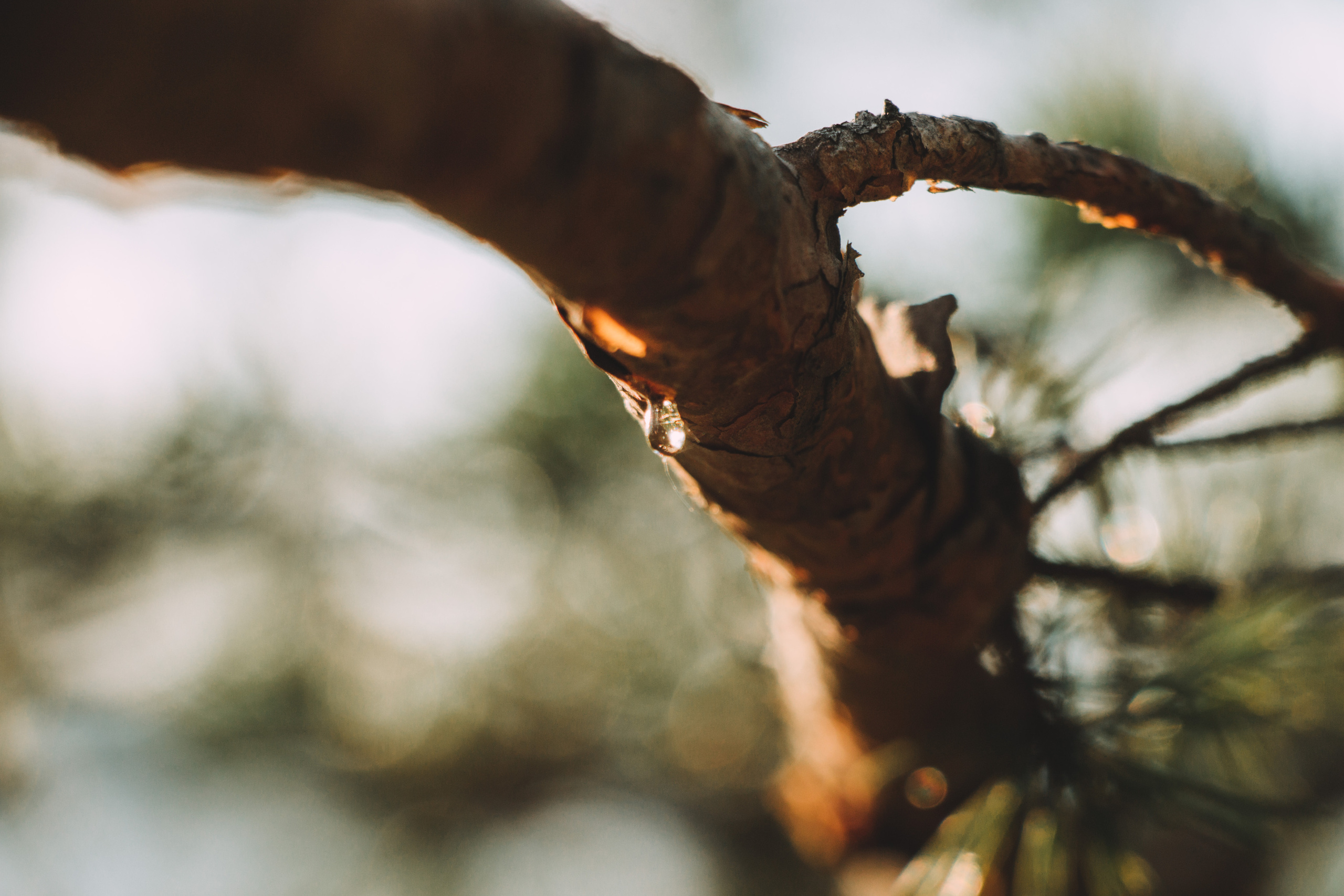 Аракульский Шихан | Май 2020. Andrew Sozonov visual artist