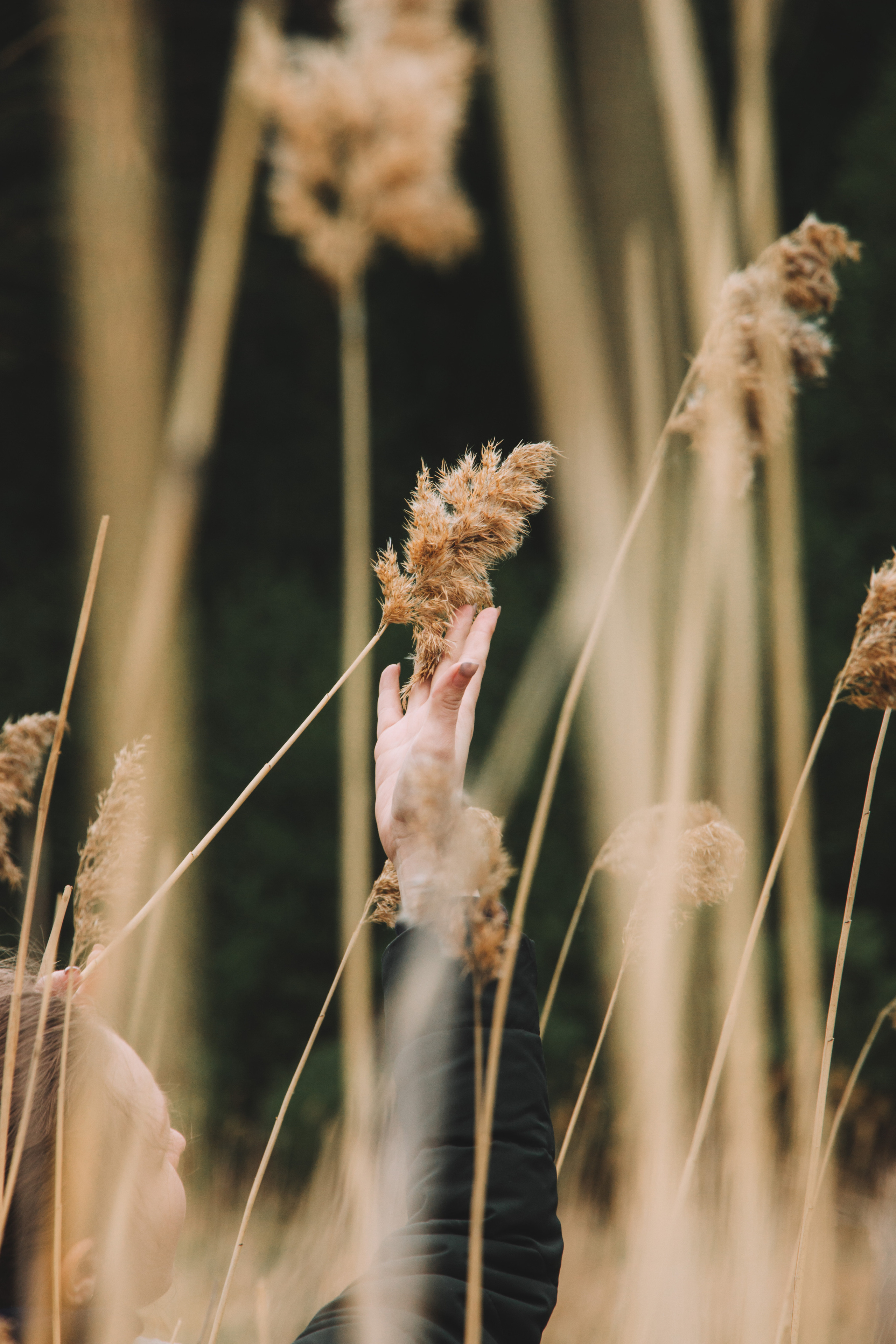 Аракульский Шихан | Май 2020. Andrew Sozonov visual artist