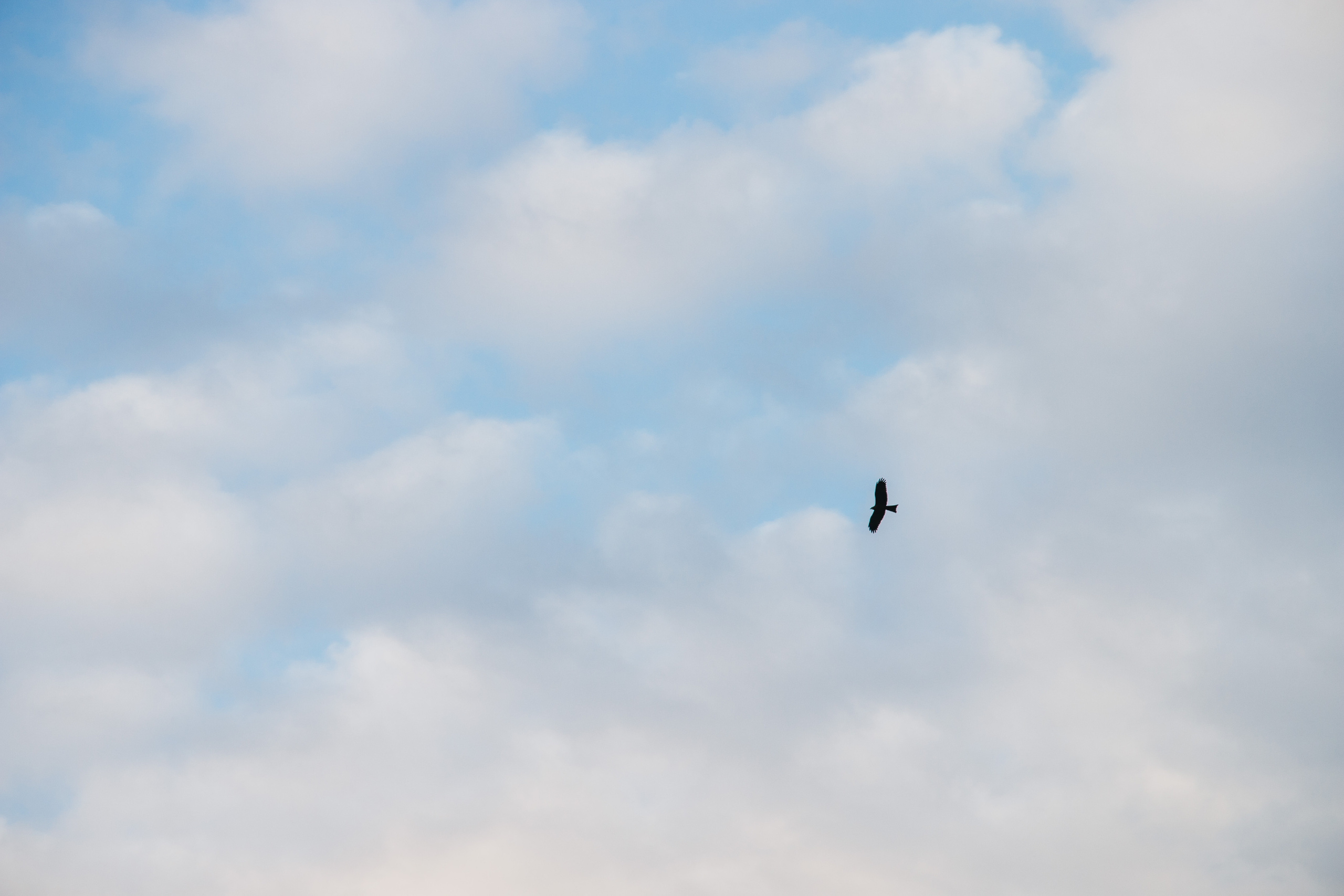 Сплав по Койве | Май 2020. Andrew Sozonov visual artist