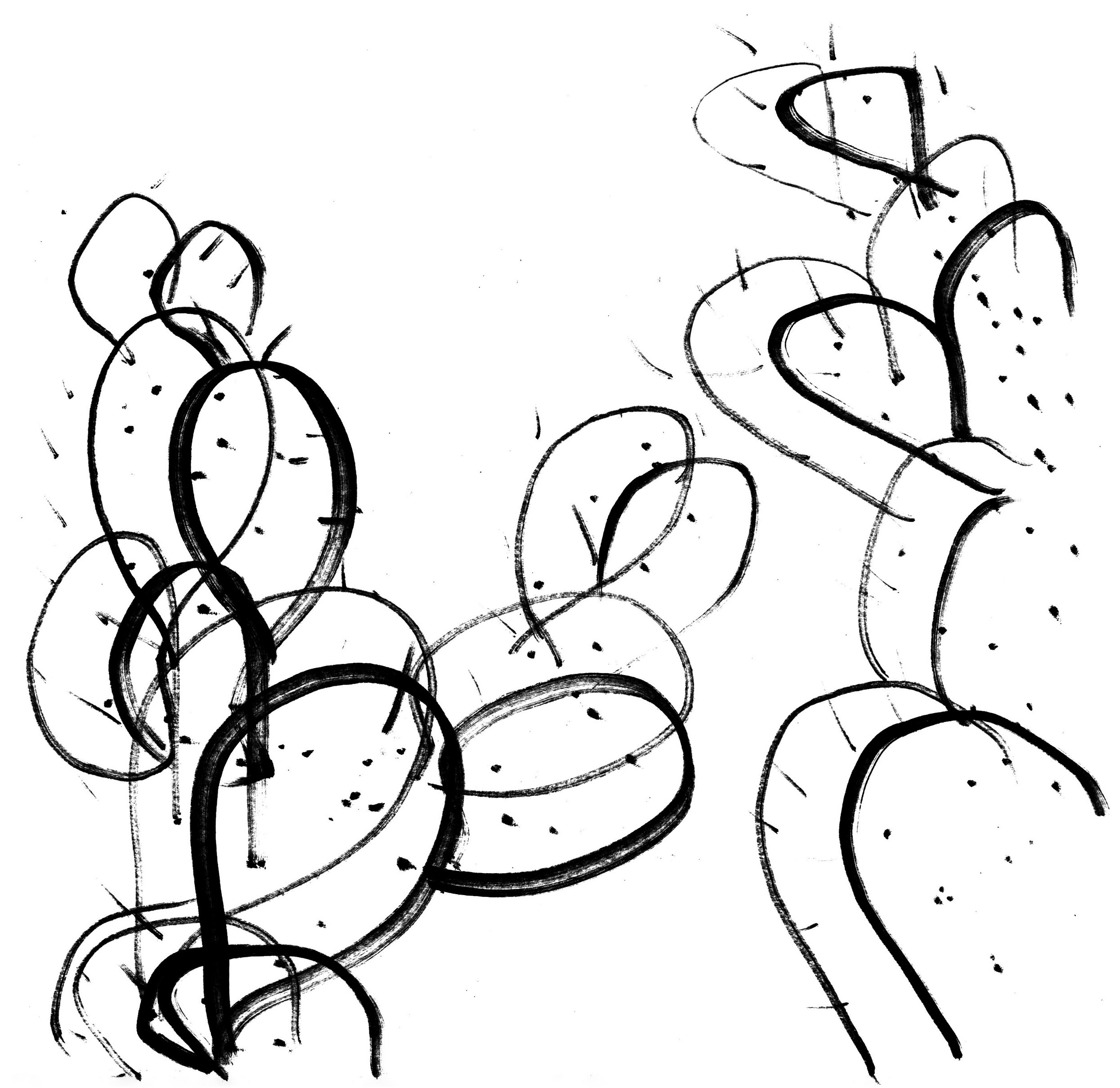 Растительные иллюстрации