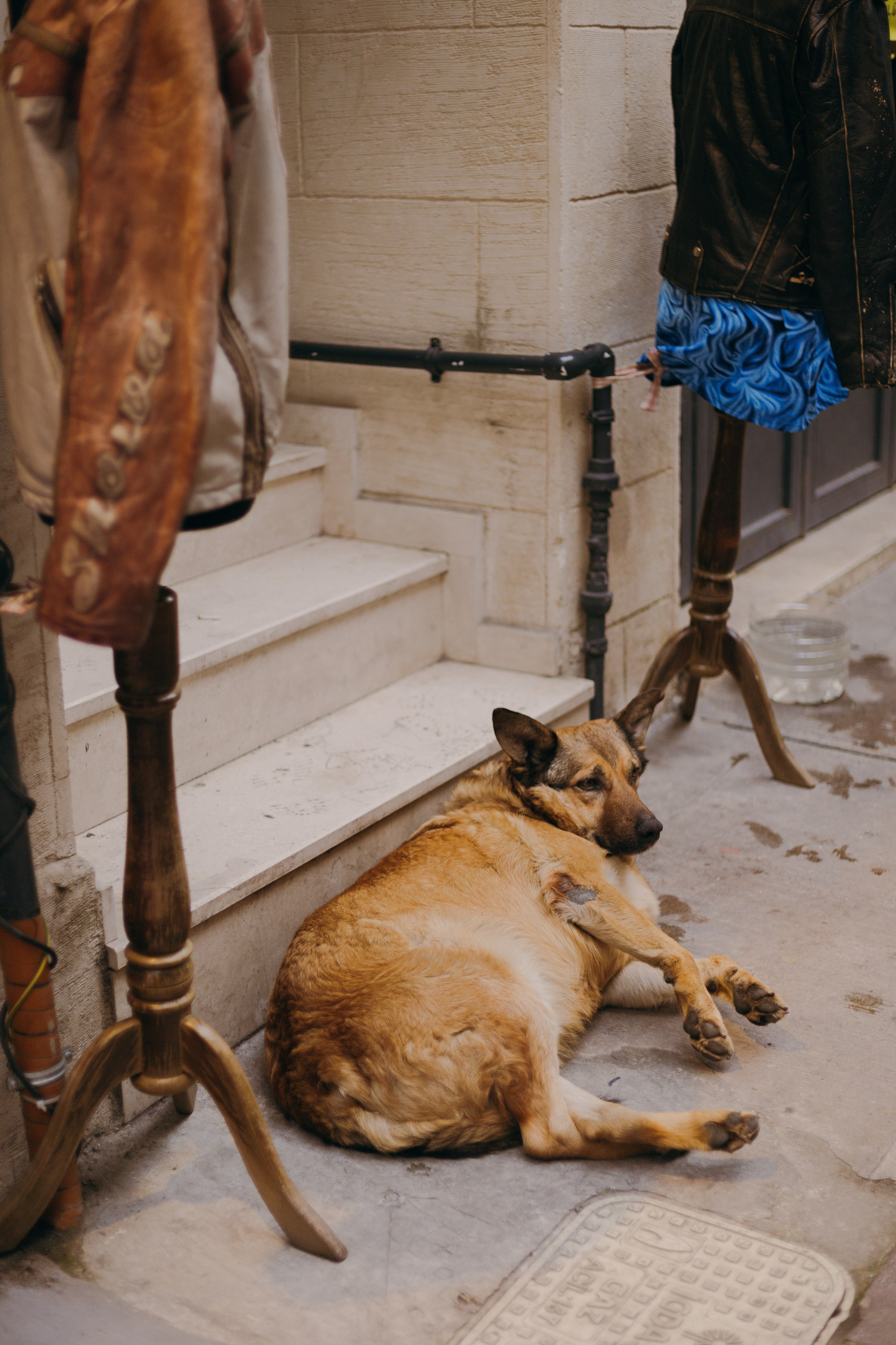 Стамбул. Профессиональный Фотограф во Владимире, в Москве и в Суздале — Полина Романычева