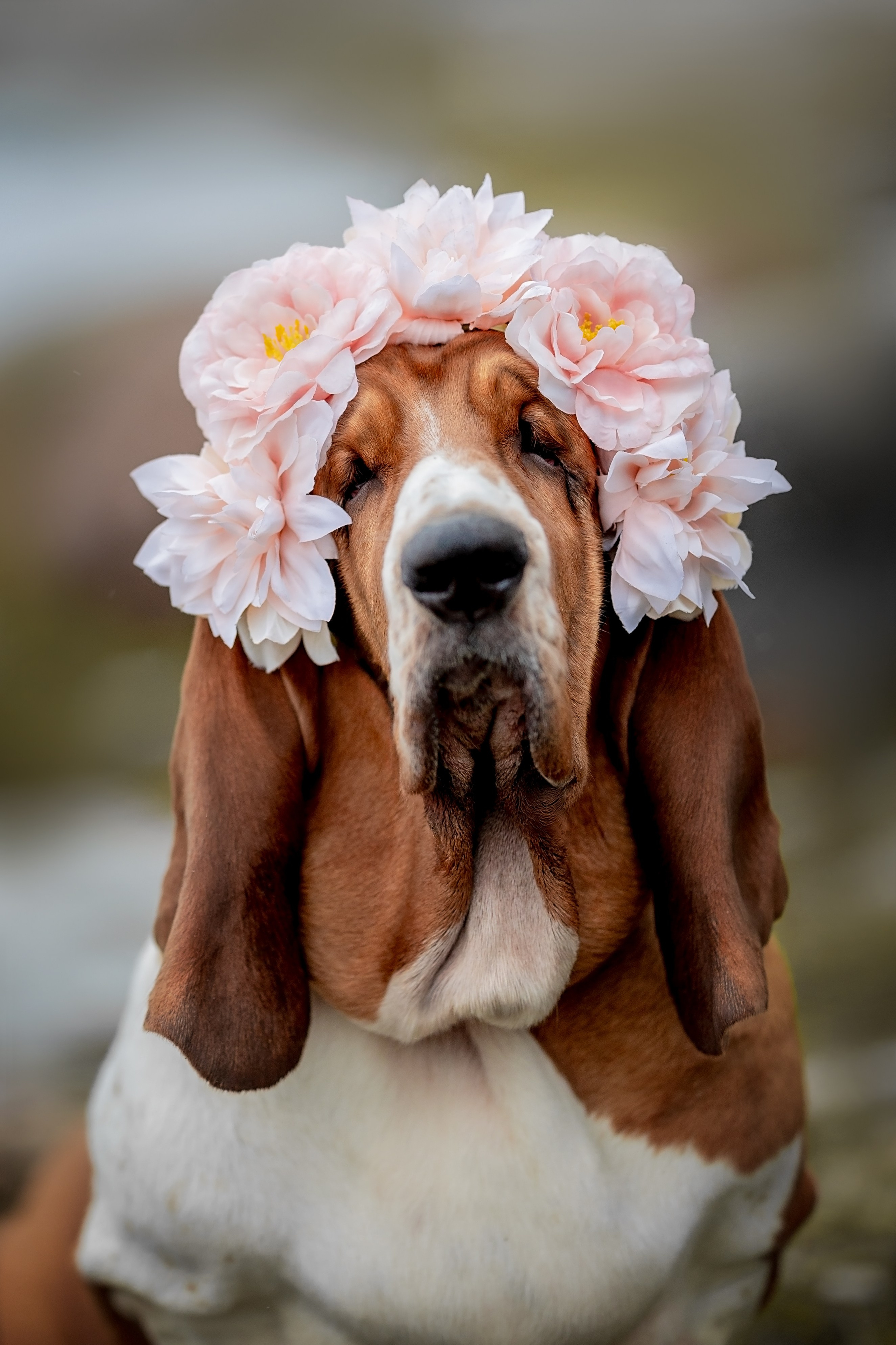 Анималистика. Репортажный фотограф Мария Мадзик