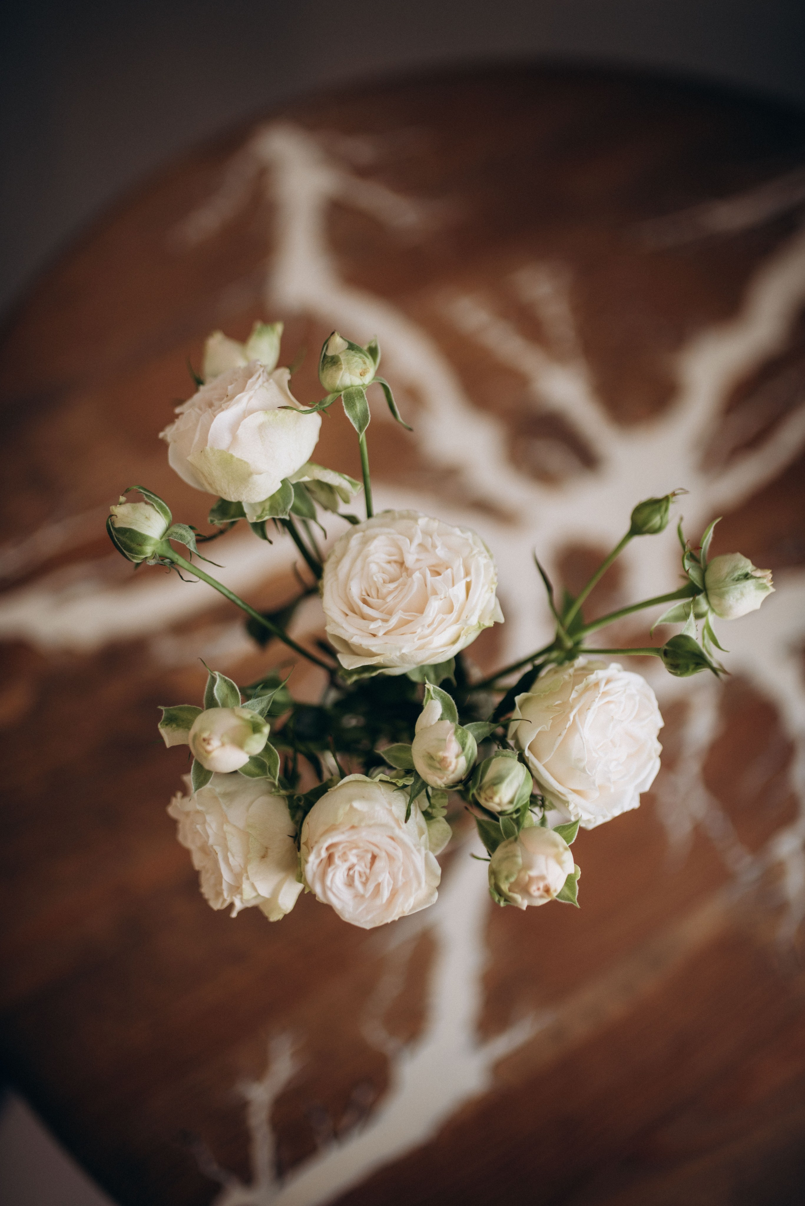 Индивидуальная фотосессия в Сочи, фотосъёмка для девушки. Фотограф в Сочи — Маргарита Поганова