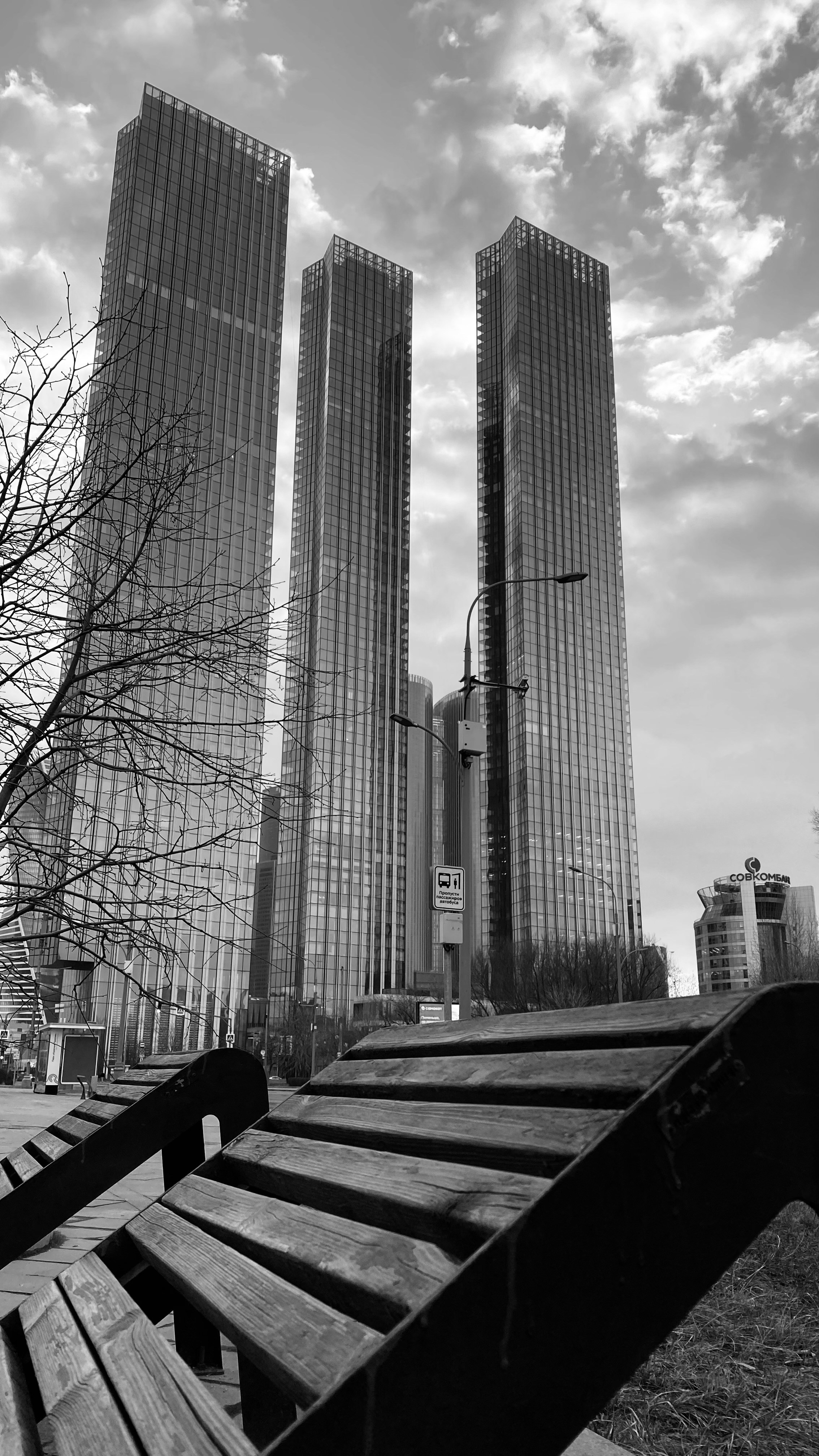 Мобильное фото. Фотограф в Москве Айгуль Евграфова